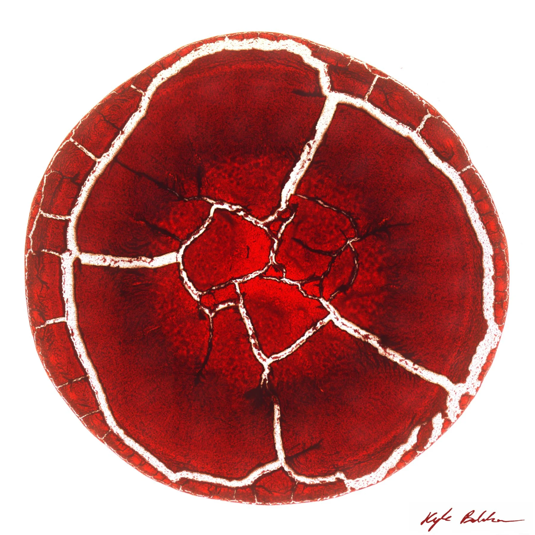 BloodAtRest_SquareCrop_6x6_SSIgnature.jpg