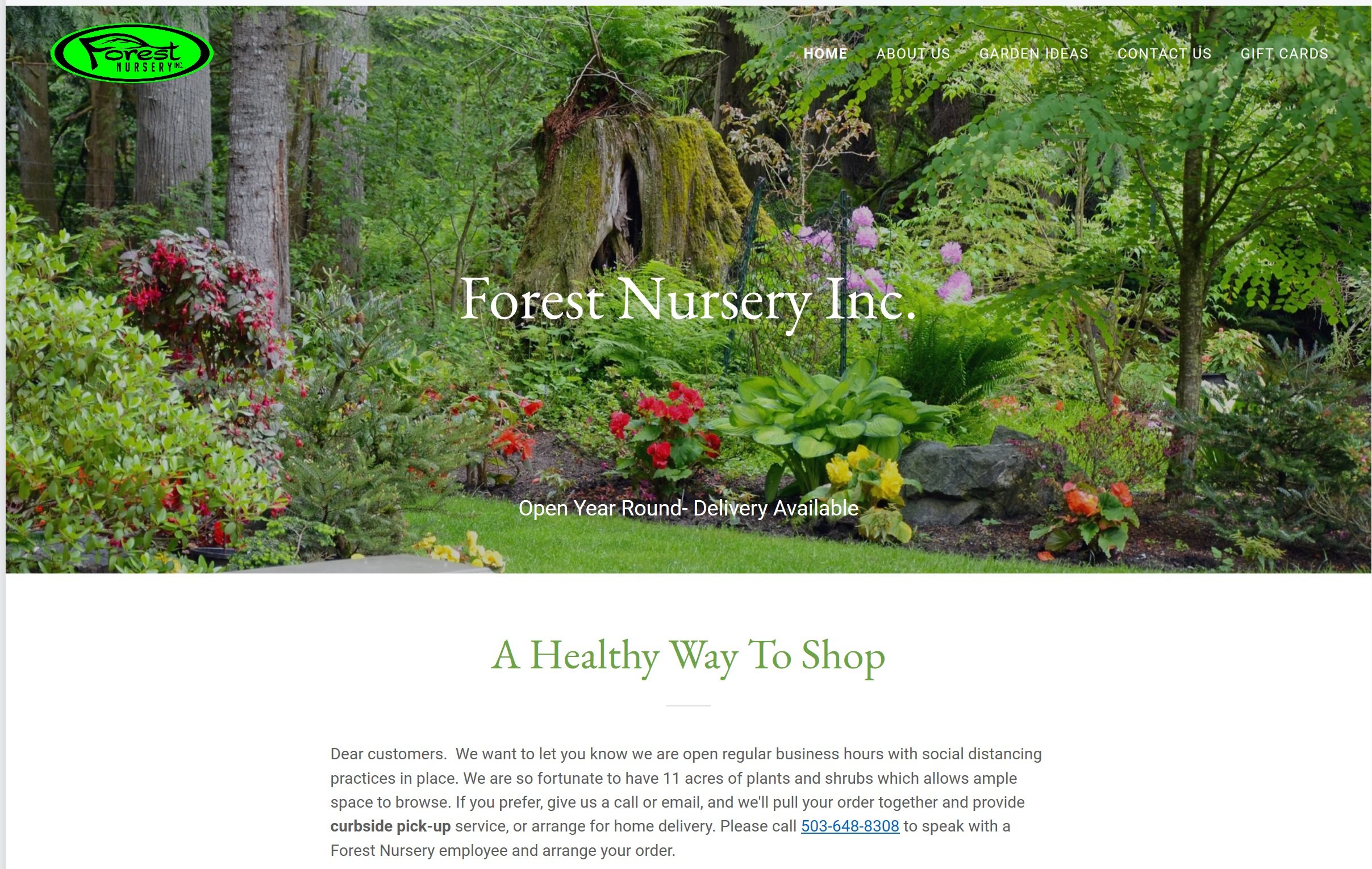 forest nursery main page.jpg