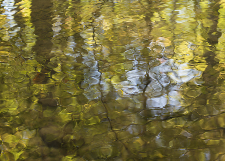 Jacob's Well 