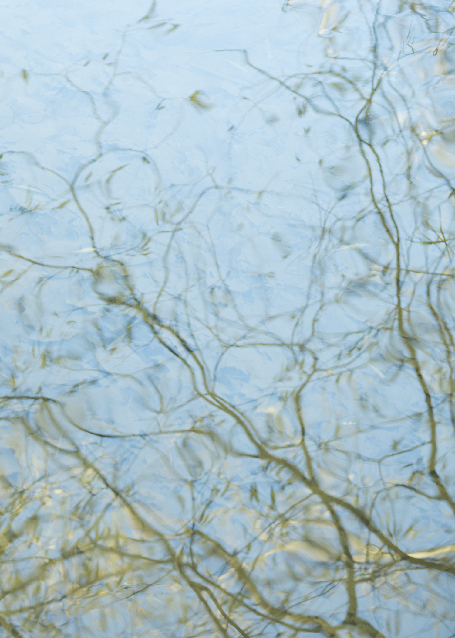 Water Poetry