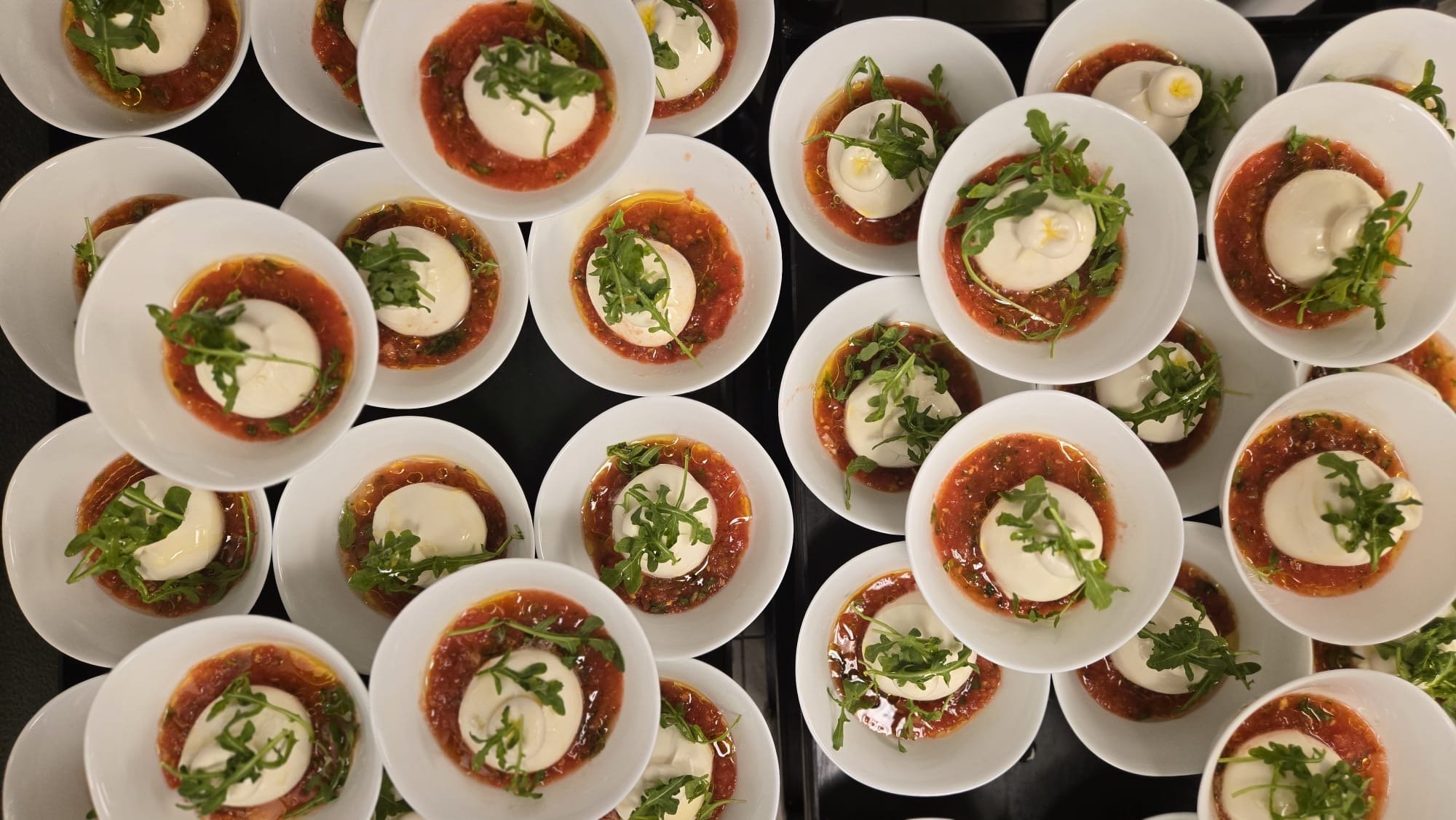 beratta multiple.jpeg