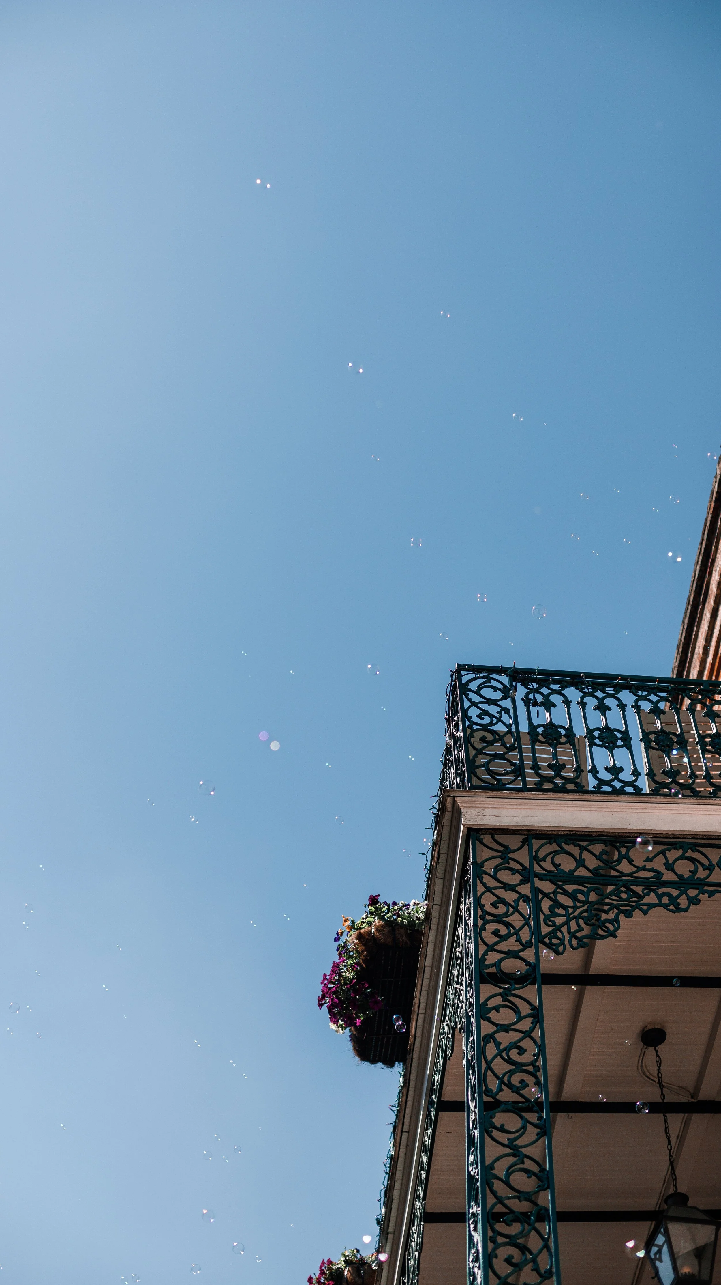 NOLA #5