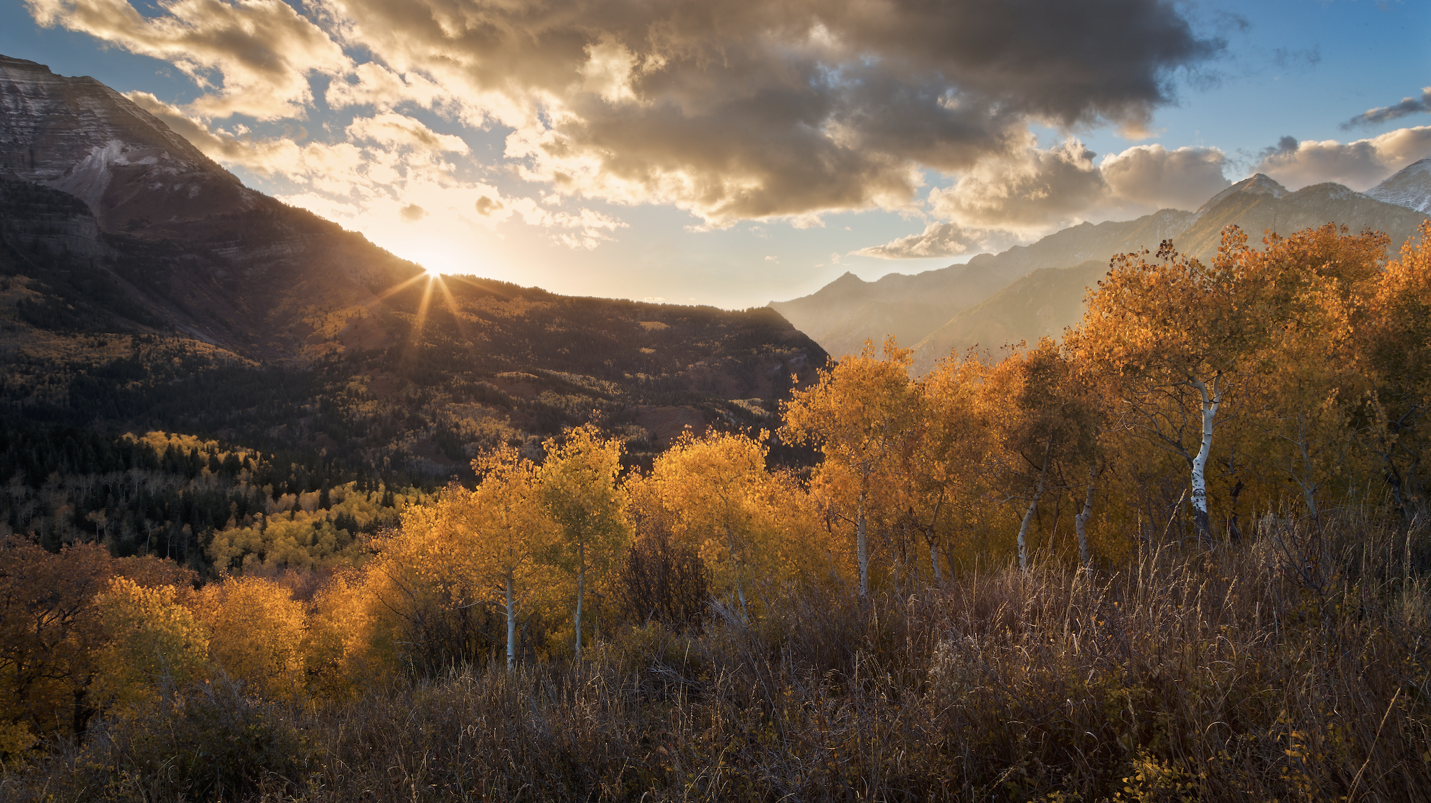 Screen Shot 2020-04-20 at 3.46.54 PM.png