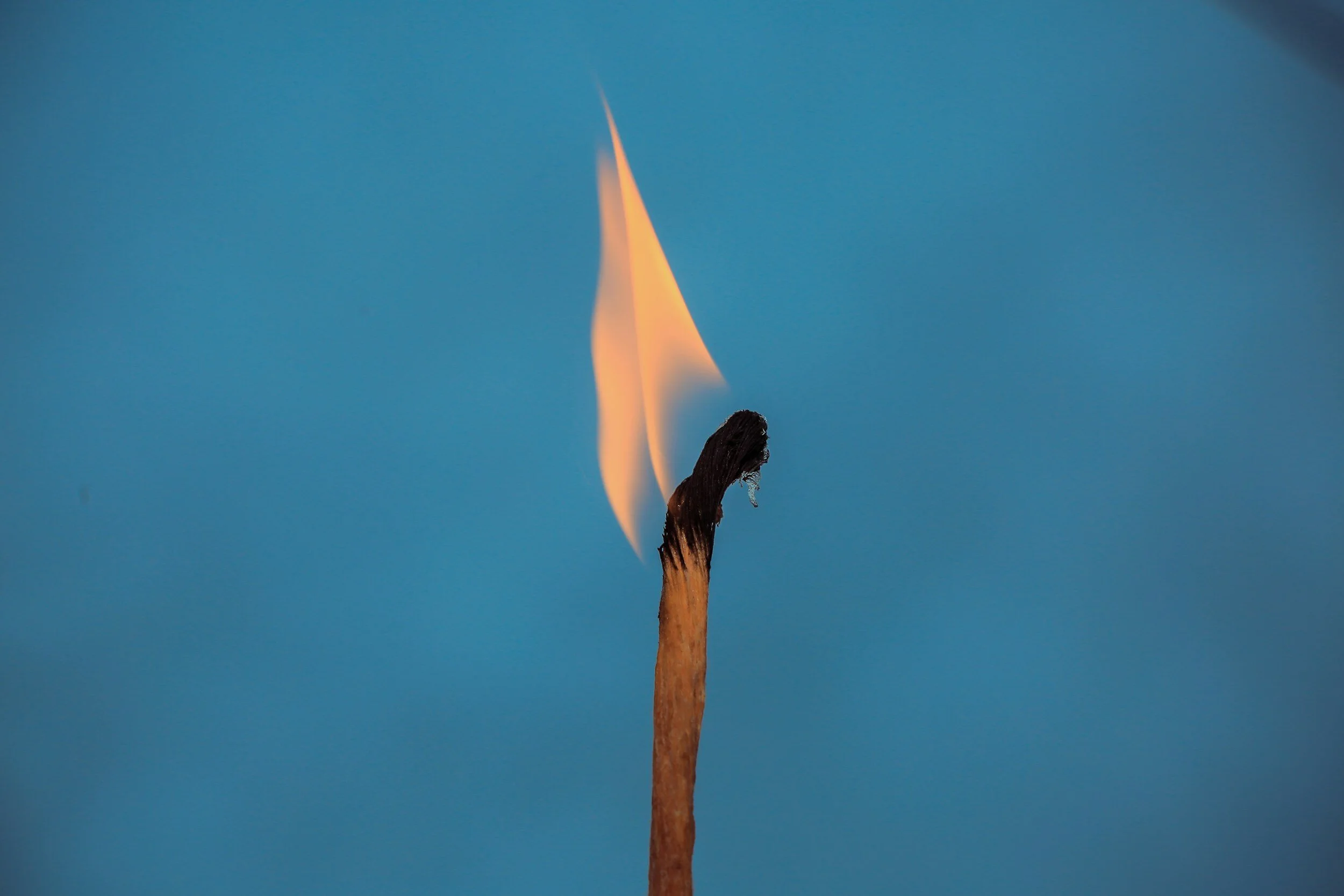 Beyond Burnout: Cultivating Resilience and Well-being