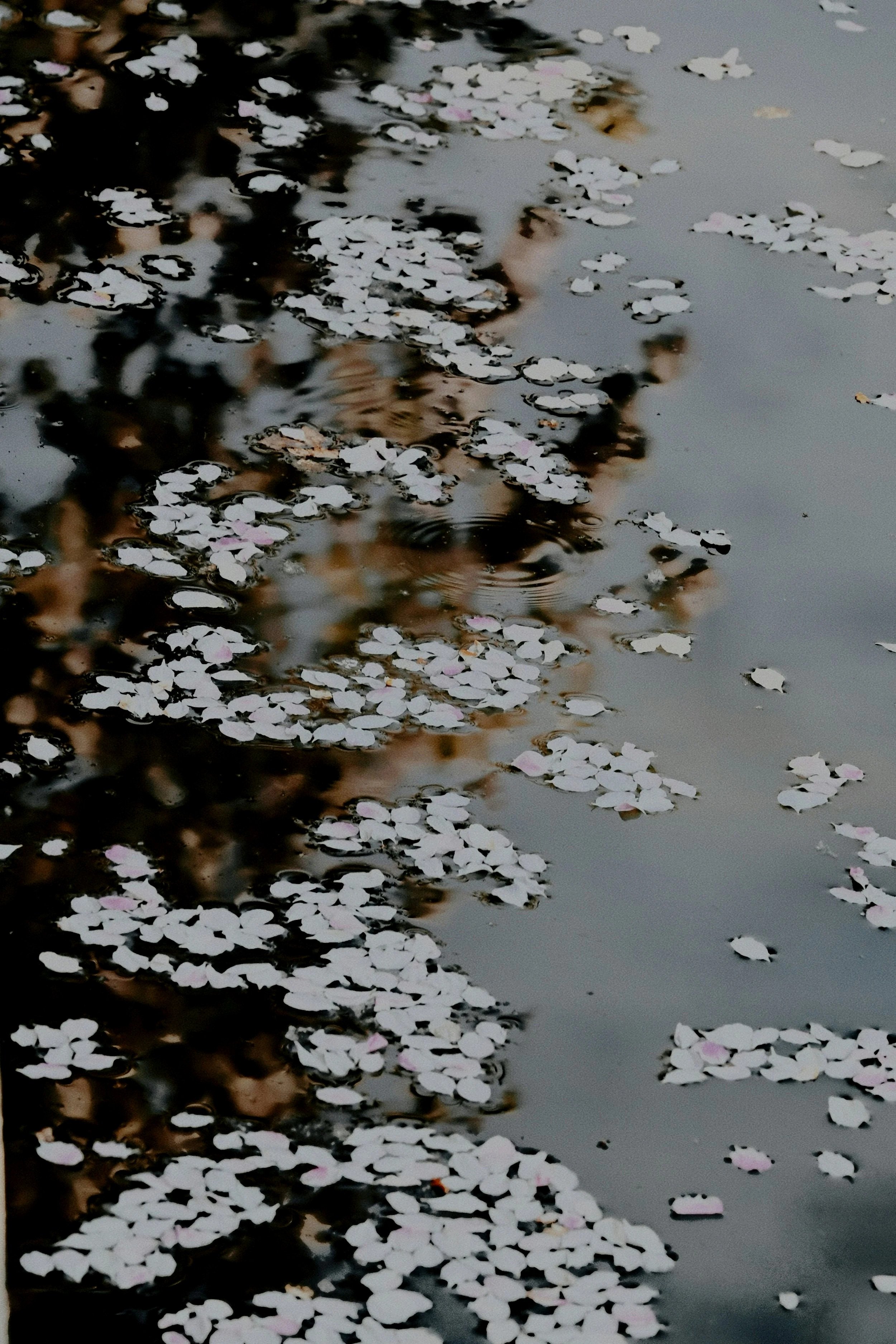 Grief &amp; Mindfulness: The Practice