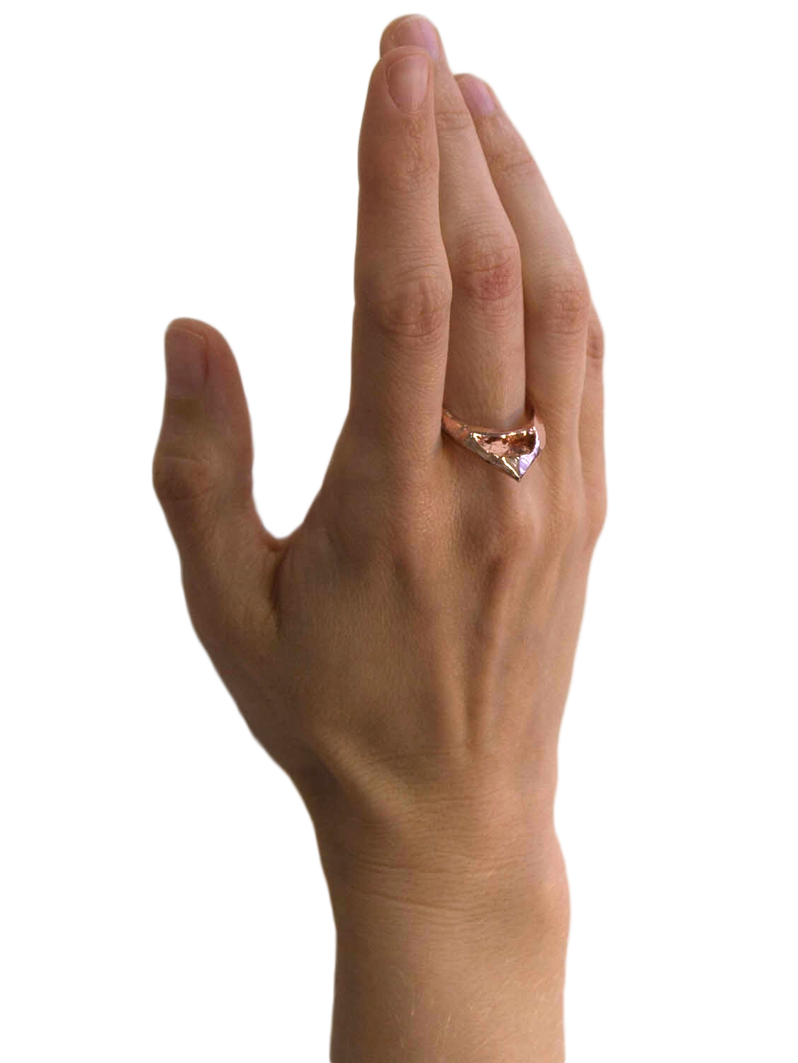 large.eye.ring.rose.model.jpg