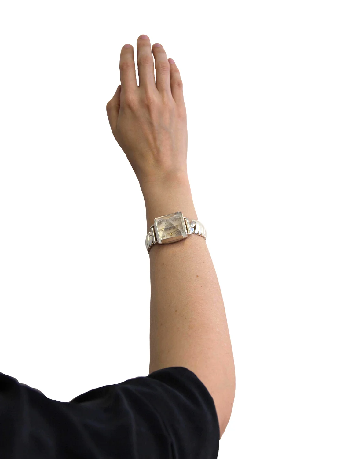 large.silver.watch.model.jpg