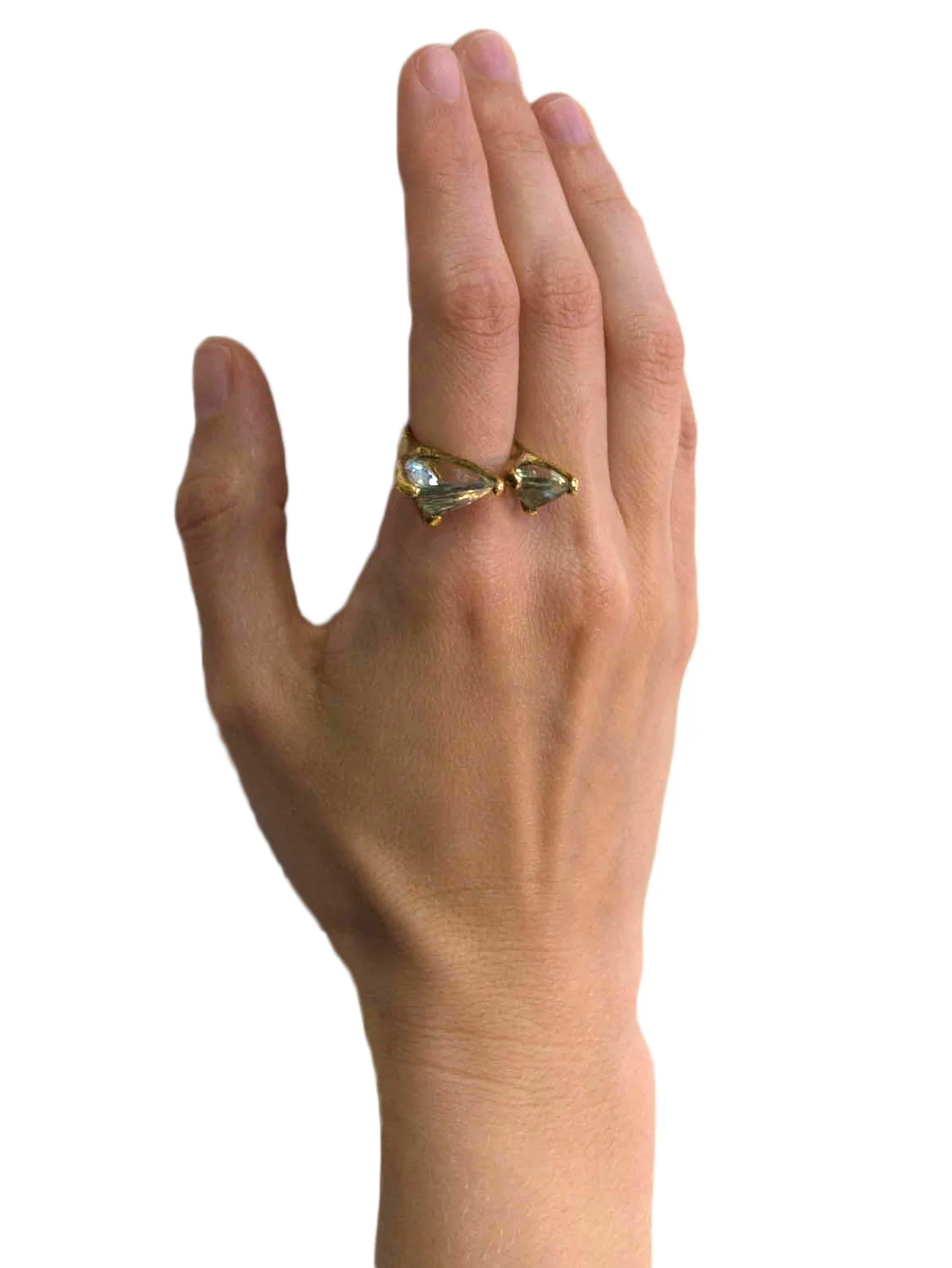 double.spectra.ring.model.jpg