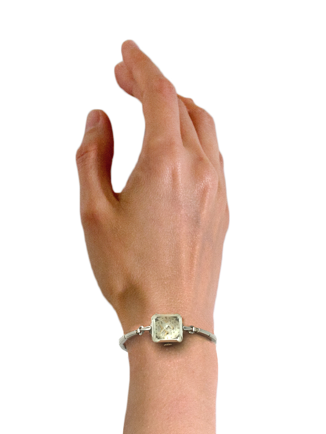 sm.watch.model.2.jpg