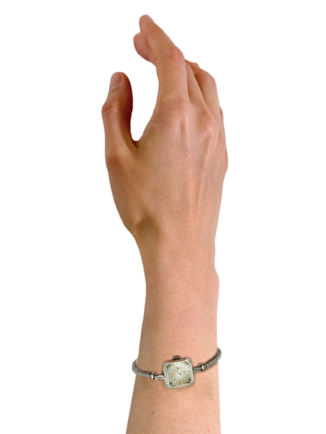 sm.watch.model.jpg