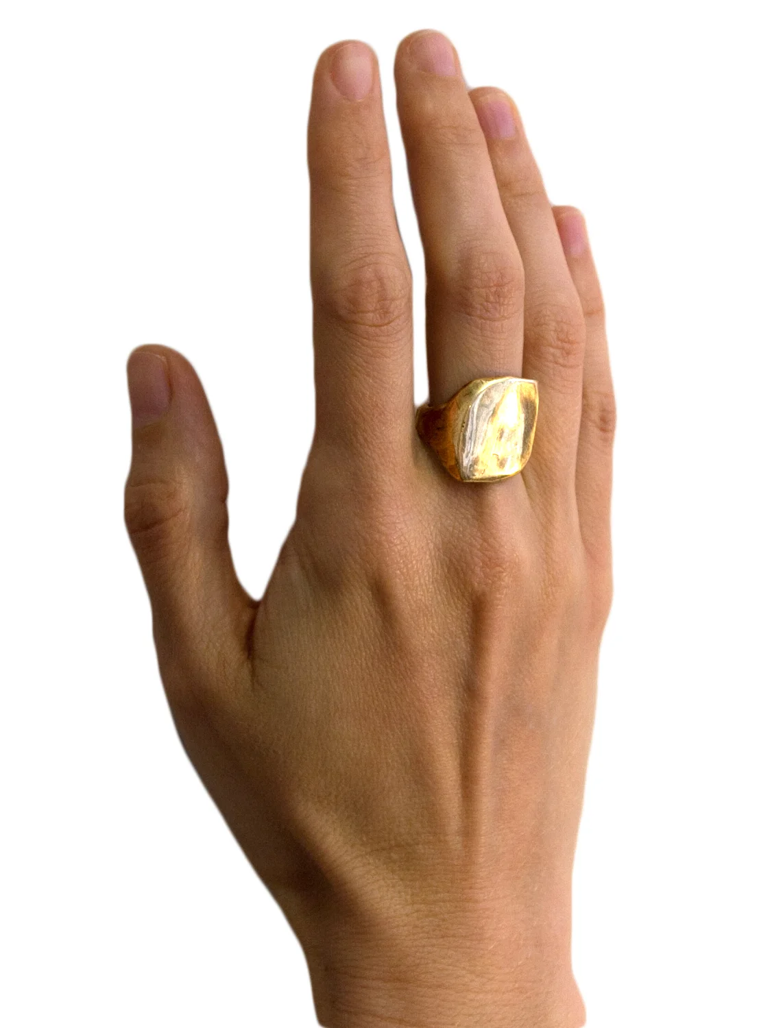 ama.ring.model.jpg