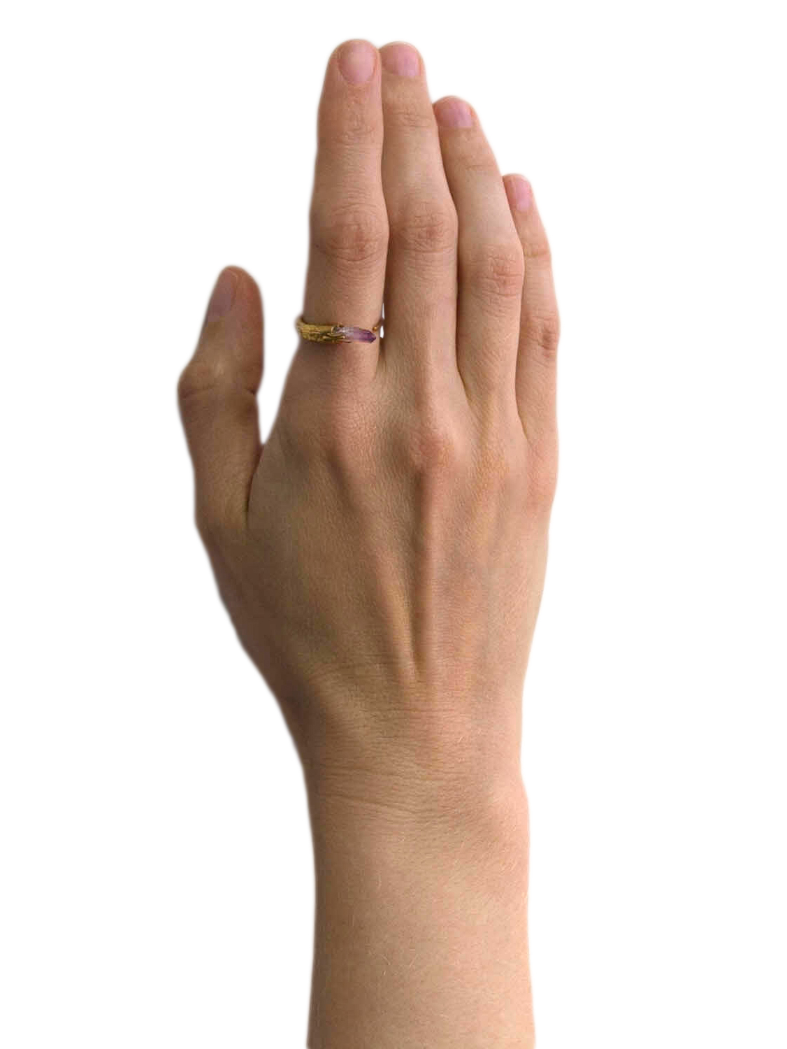 eros.point.ring.model.jpg