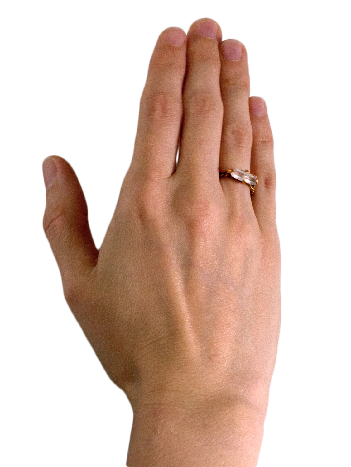lyncis.ring.model.jpg