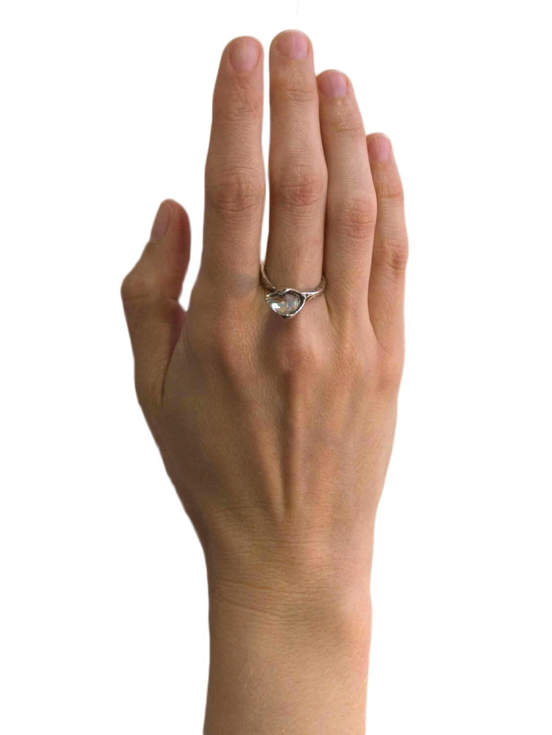 mini.spectra.ring.model.jpg