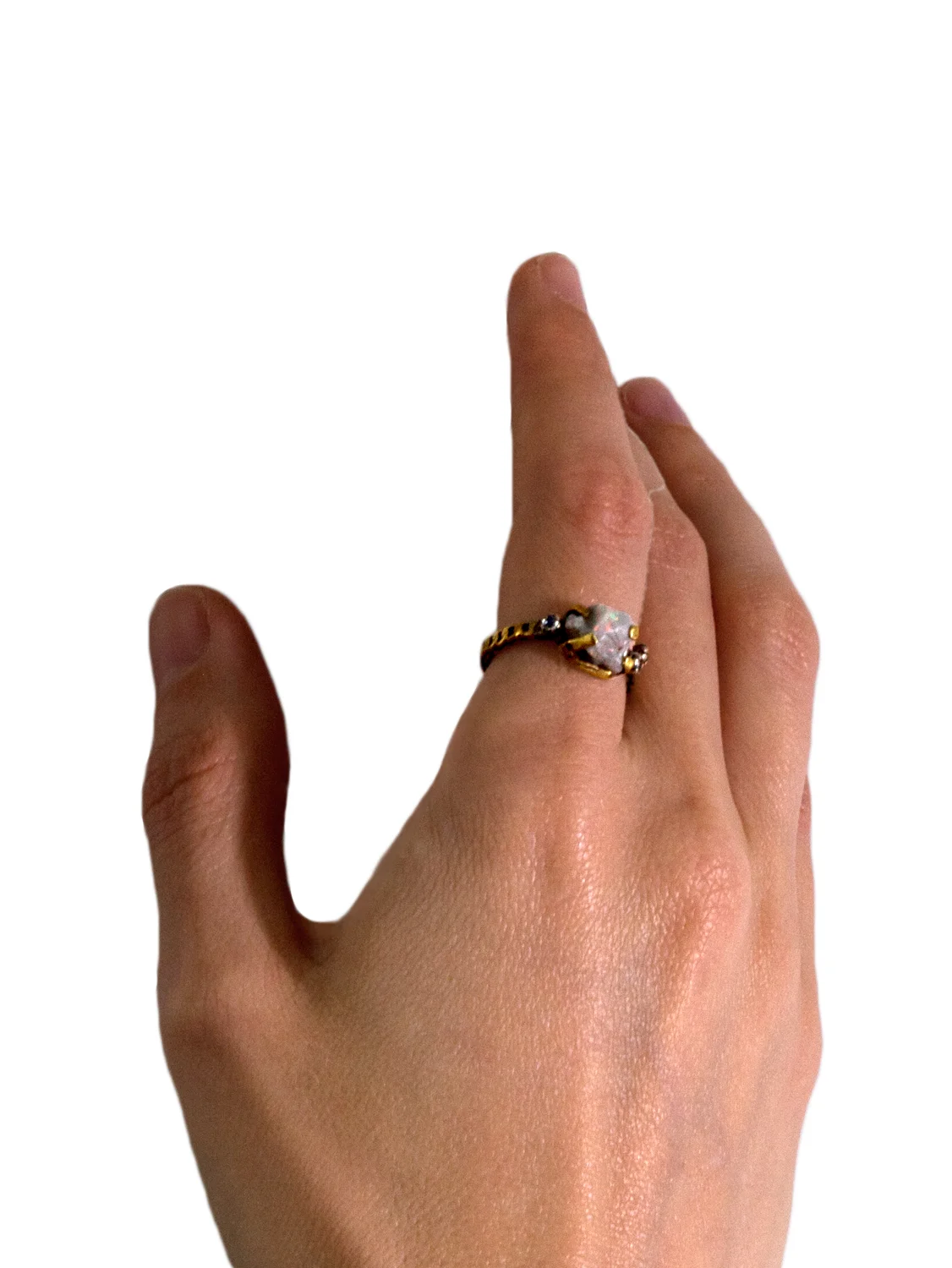 mini.phynix.ring.model.jpg