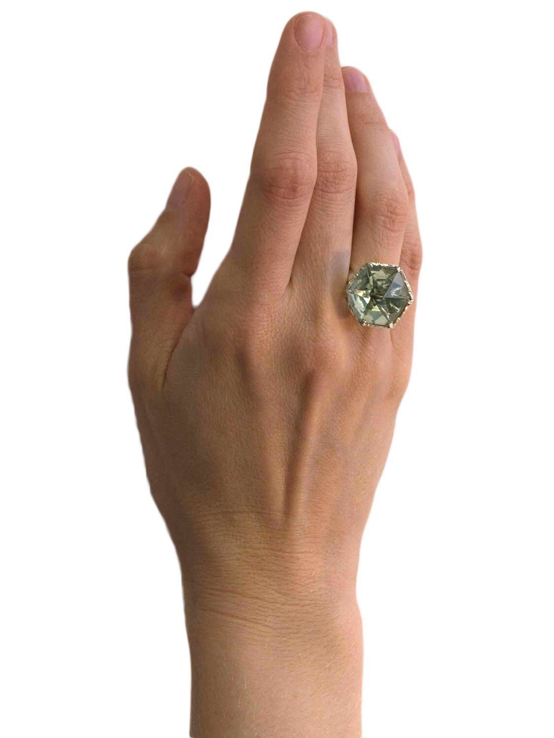 ament.ring.model.g.ame.jpg