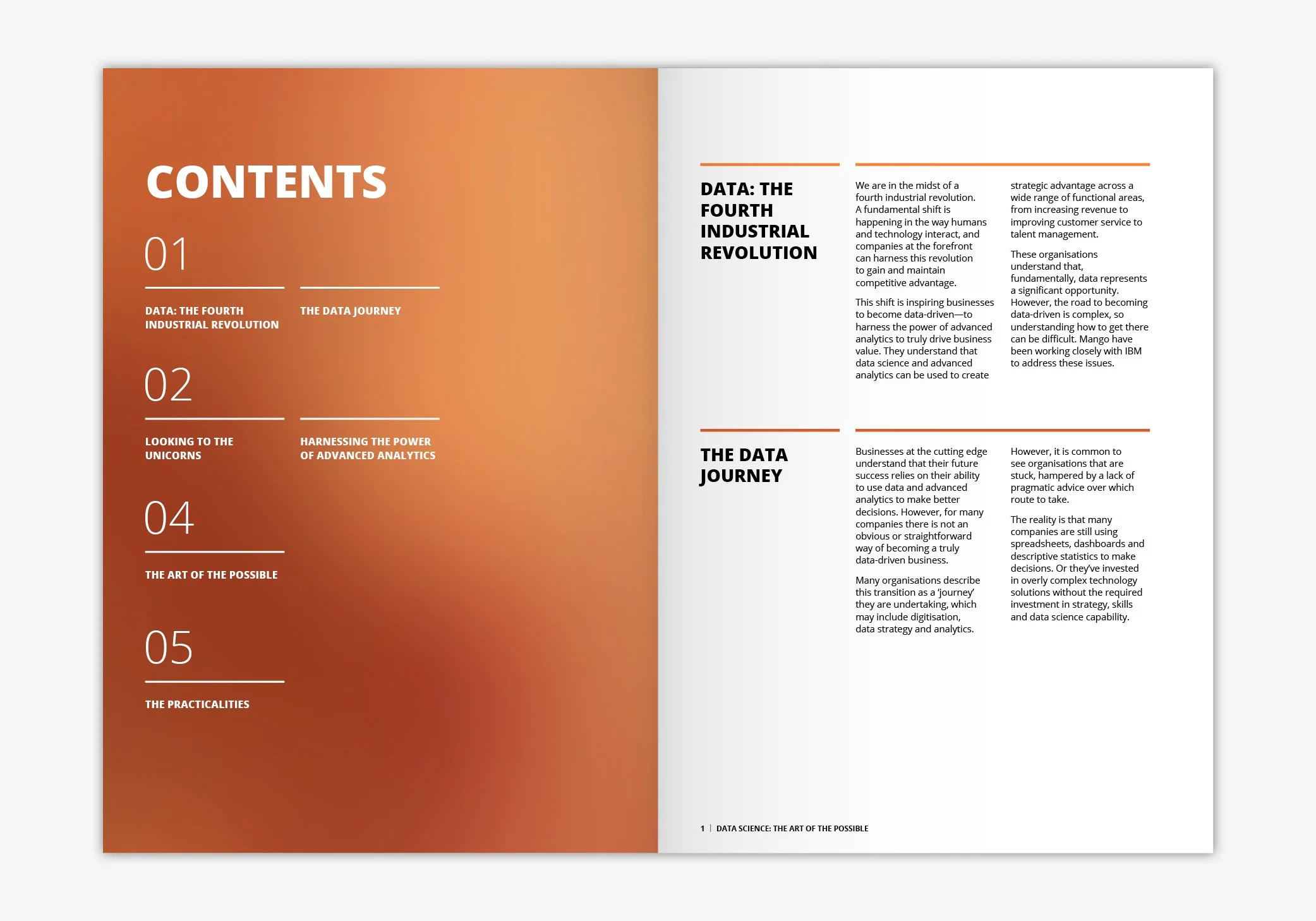 Ankur Patel Portfolio for web 2025_v1288.jpg