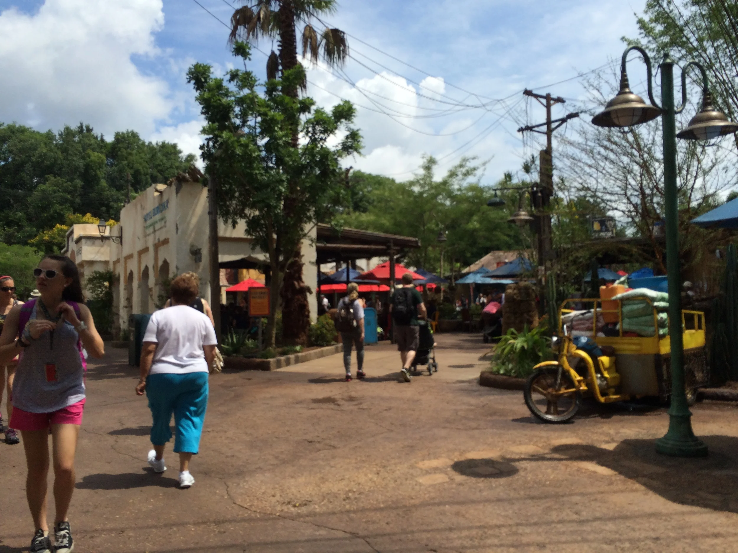 New side entrance that leads to this end of the Harambe Market. 