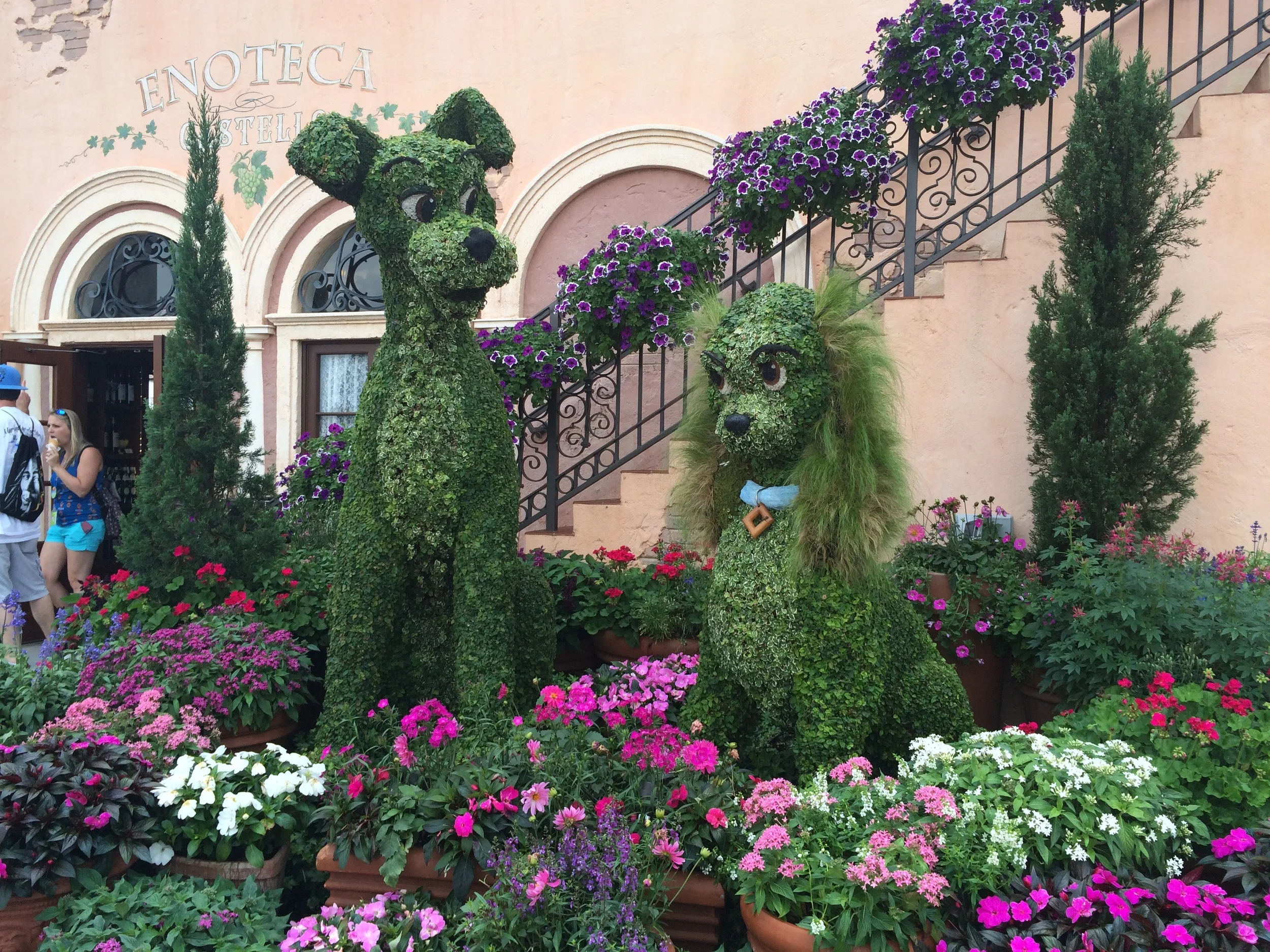 Image from Flower and Garden 2015