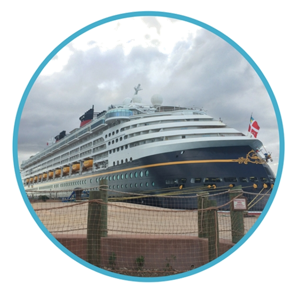 dcl 3.png