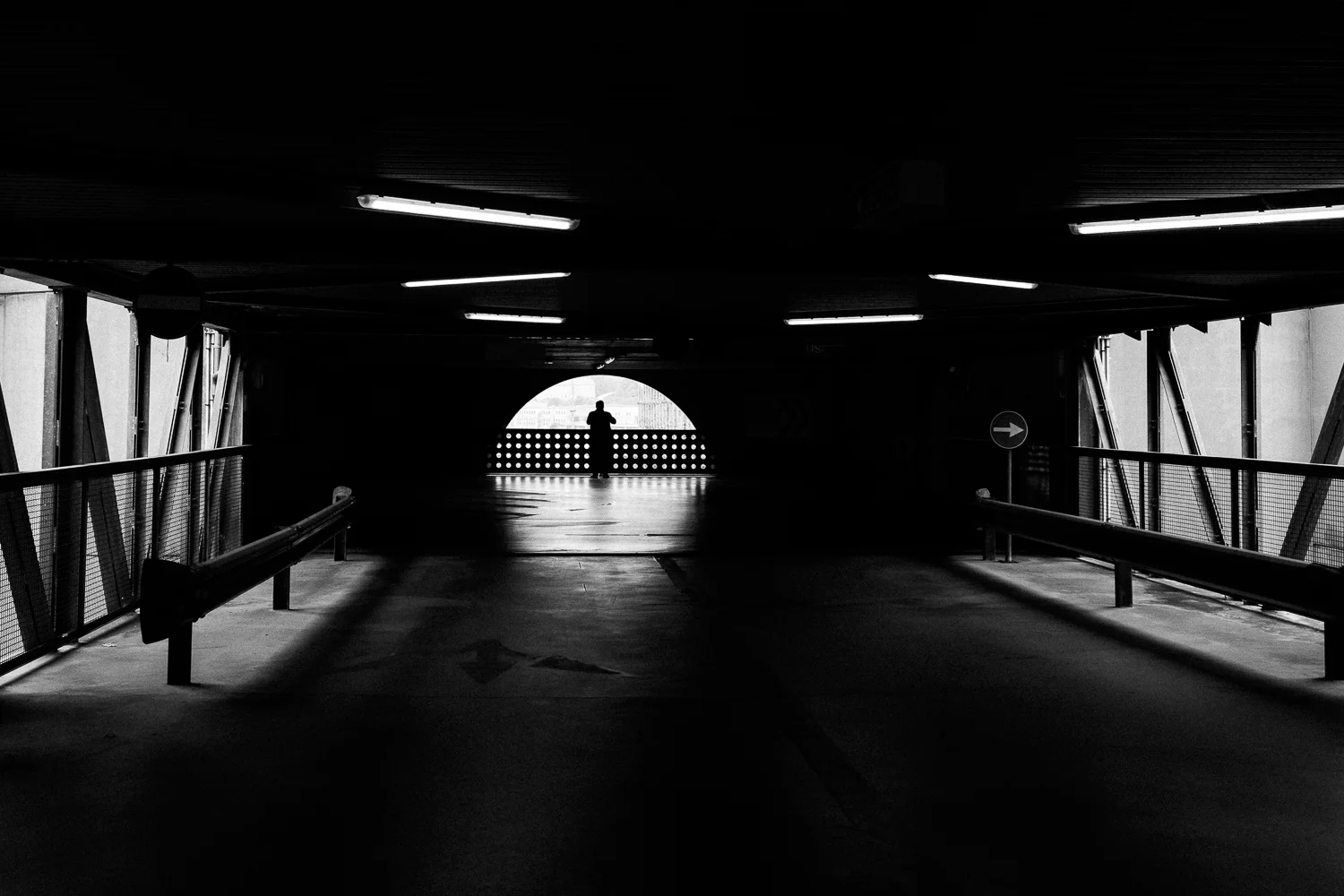 trst_2018-4.jpg