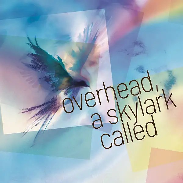 Overhead, A Skylark Called