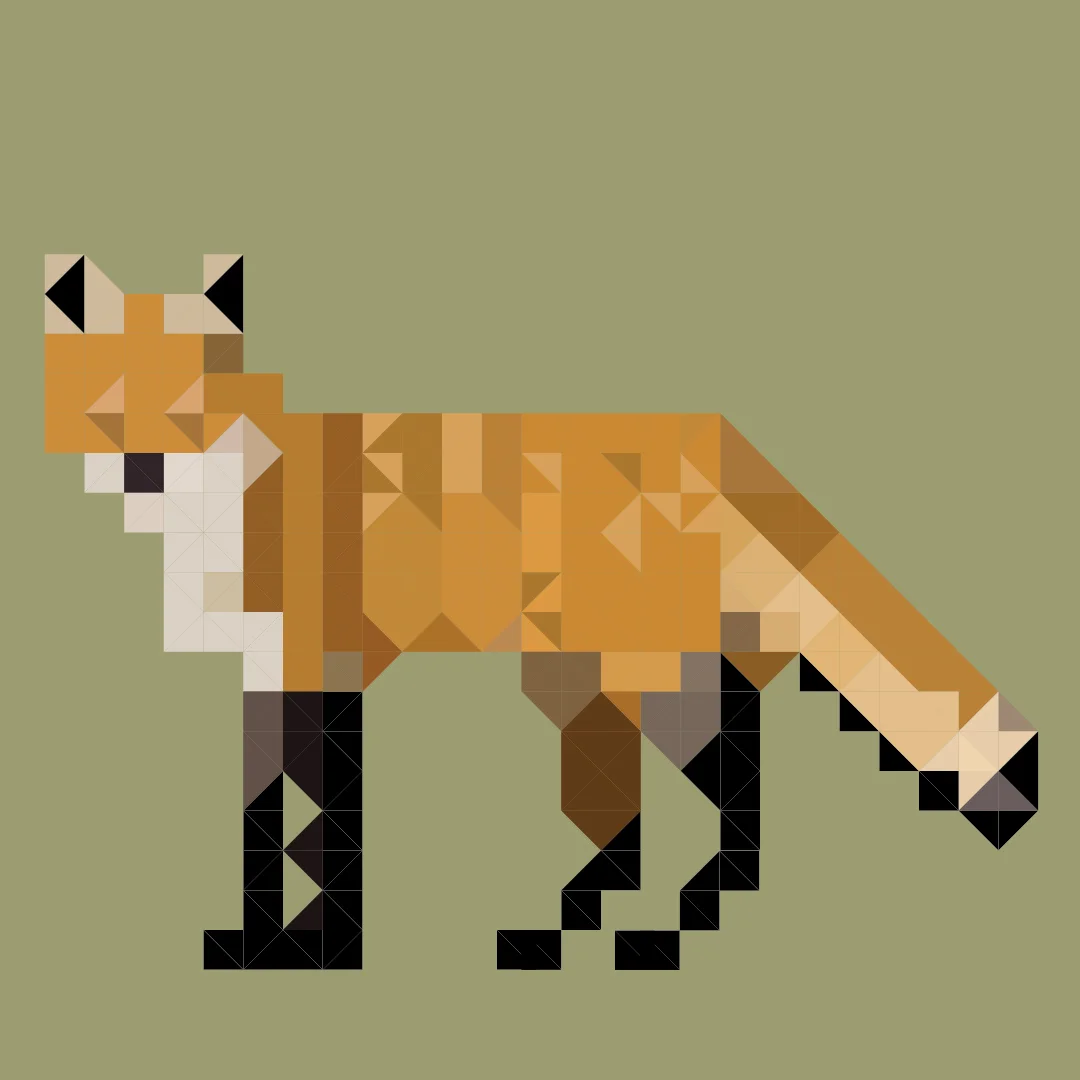 fox vector graphic.jpg