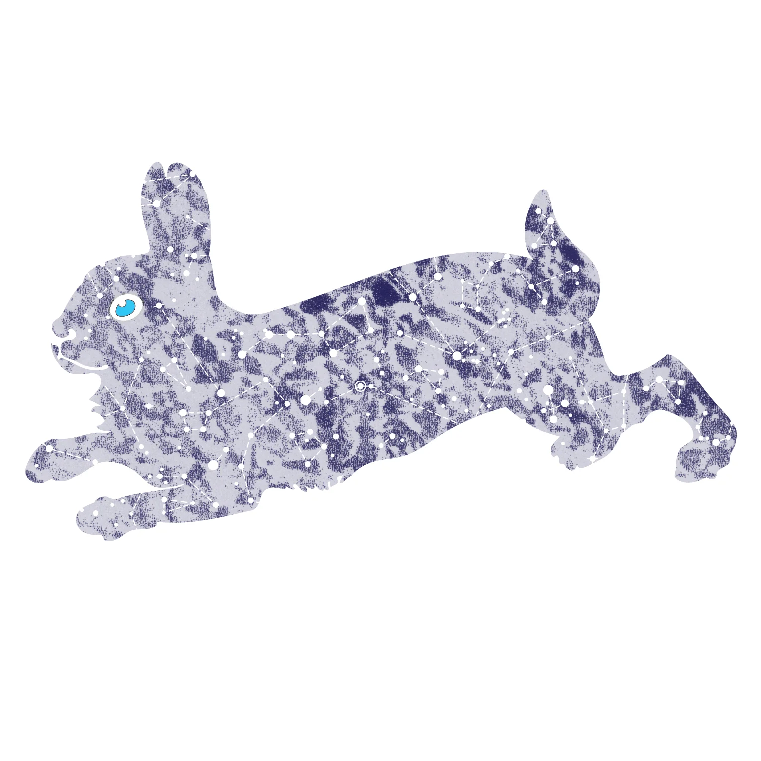 rabbit1_5-01.jpg