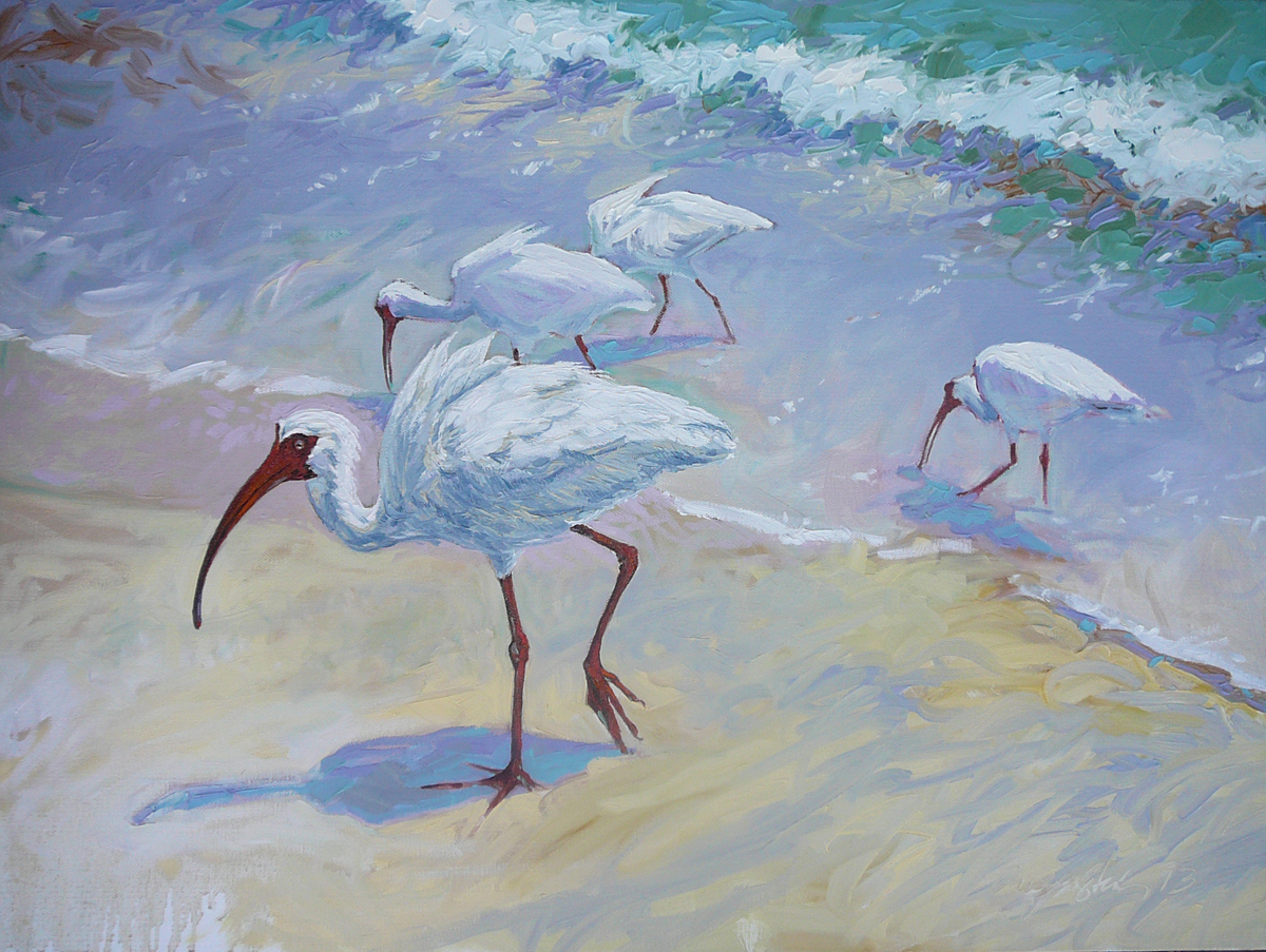 Shorebirds on the Gulf