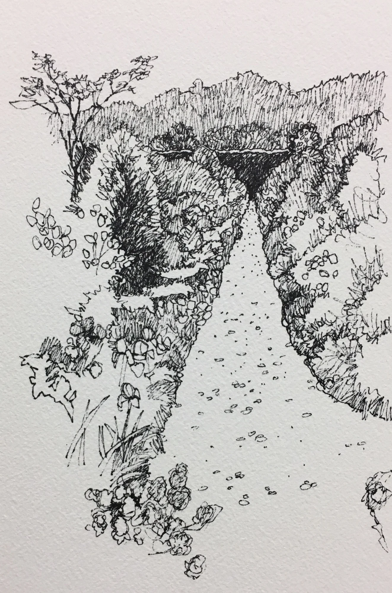 Giverny Path - INKTOBER DAY 1
