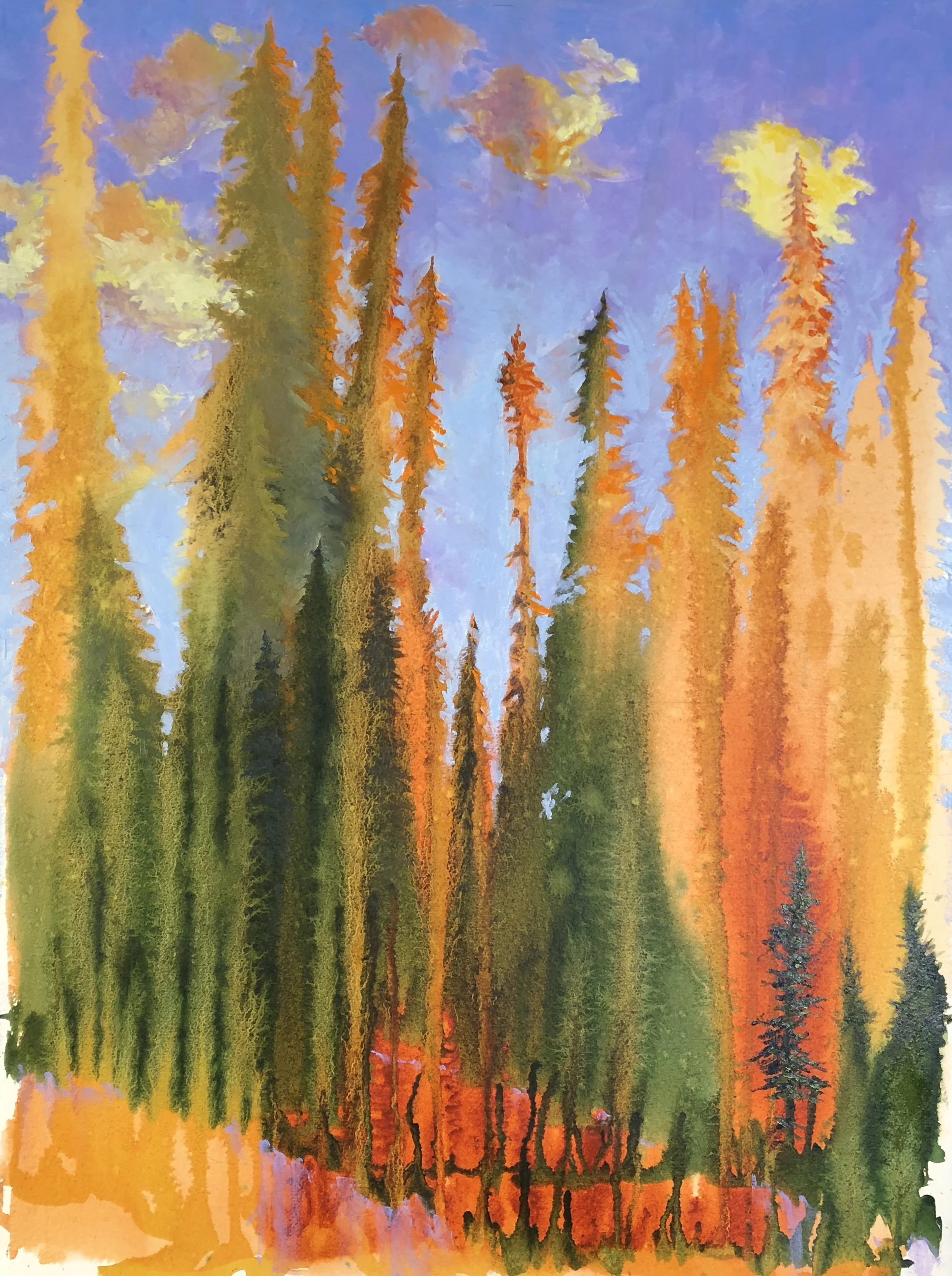 Old Forest at Sunset