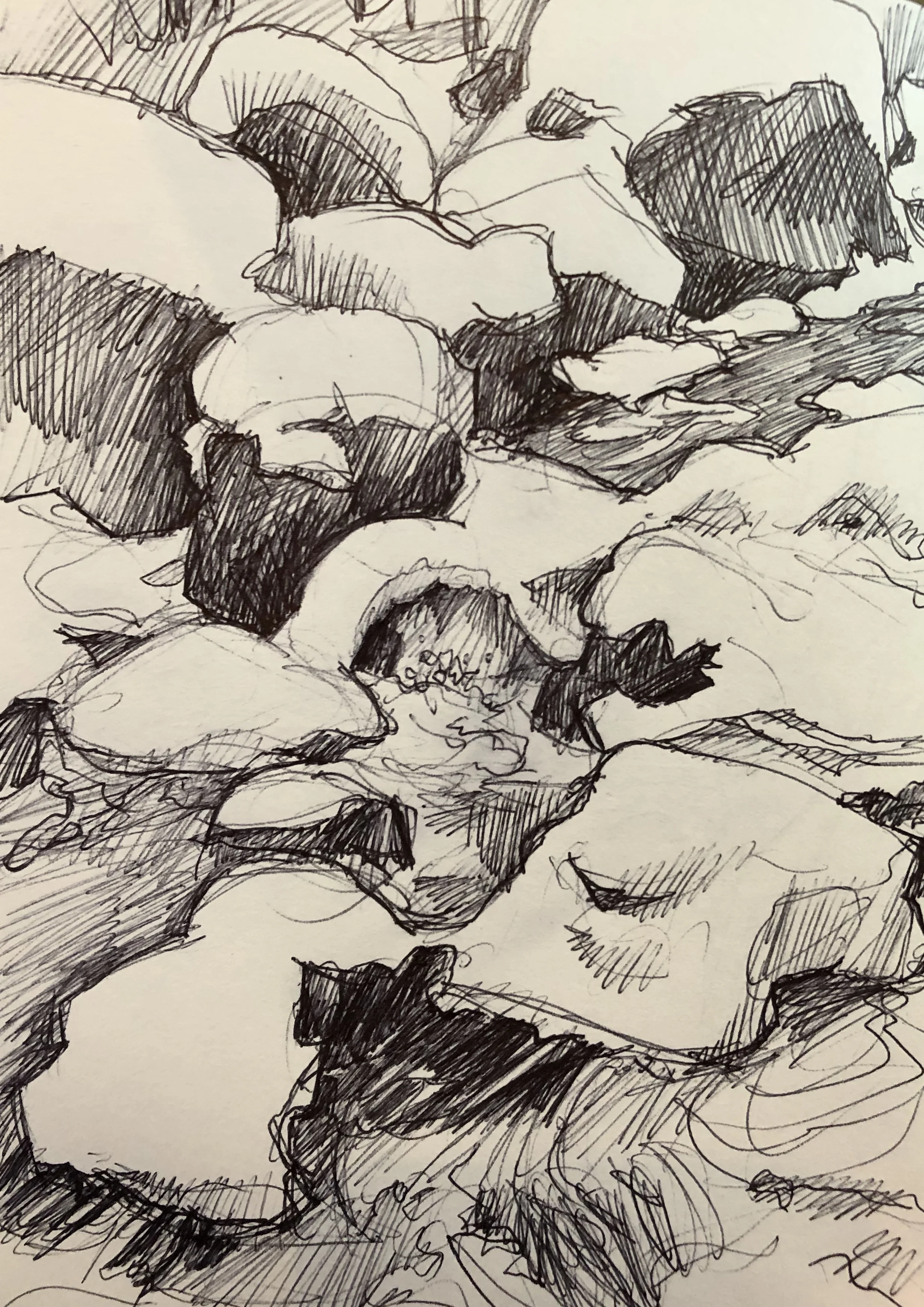 Winter Creek #2 - Pen.jpg