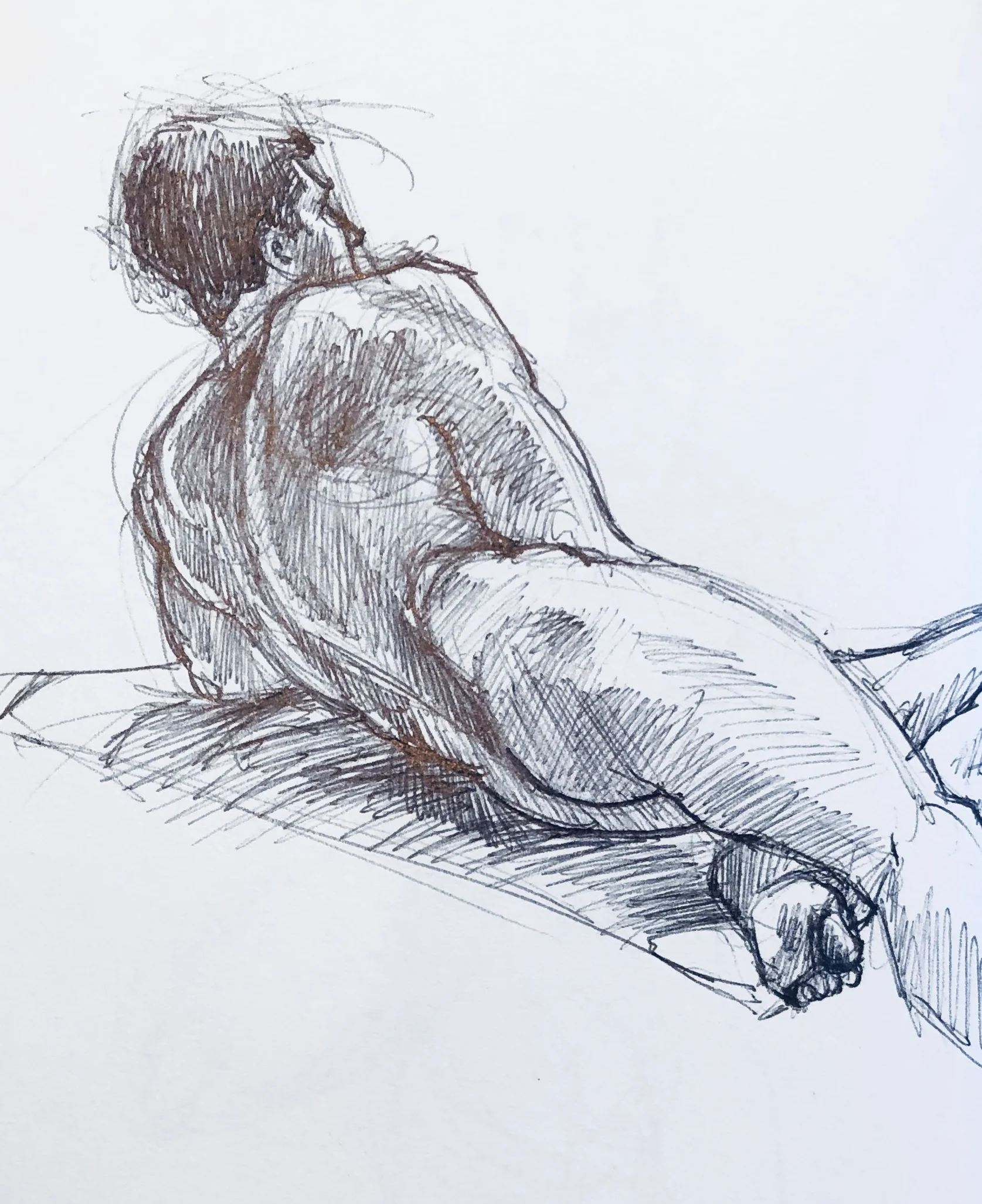 Leo Reclining - Pen.jpg