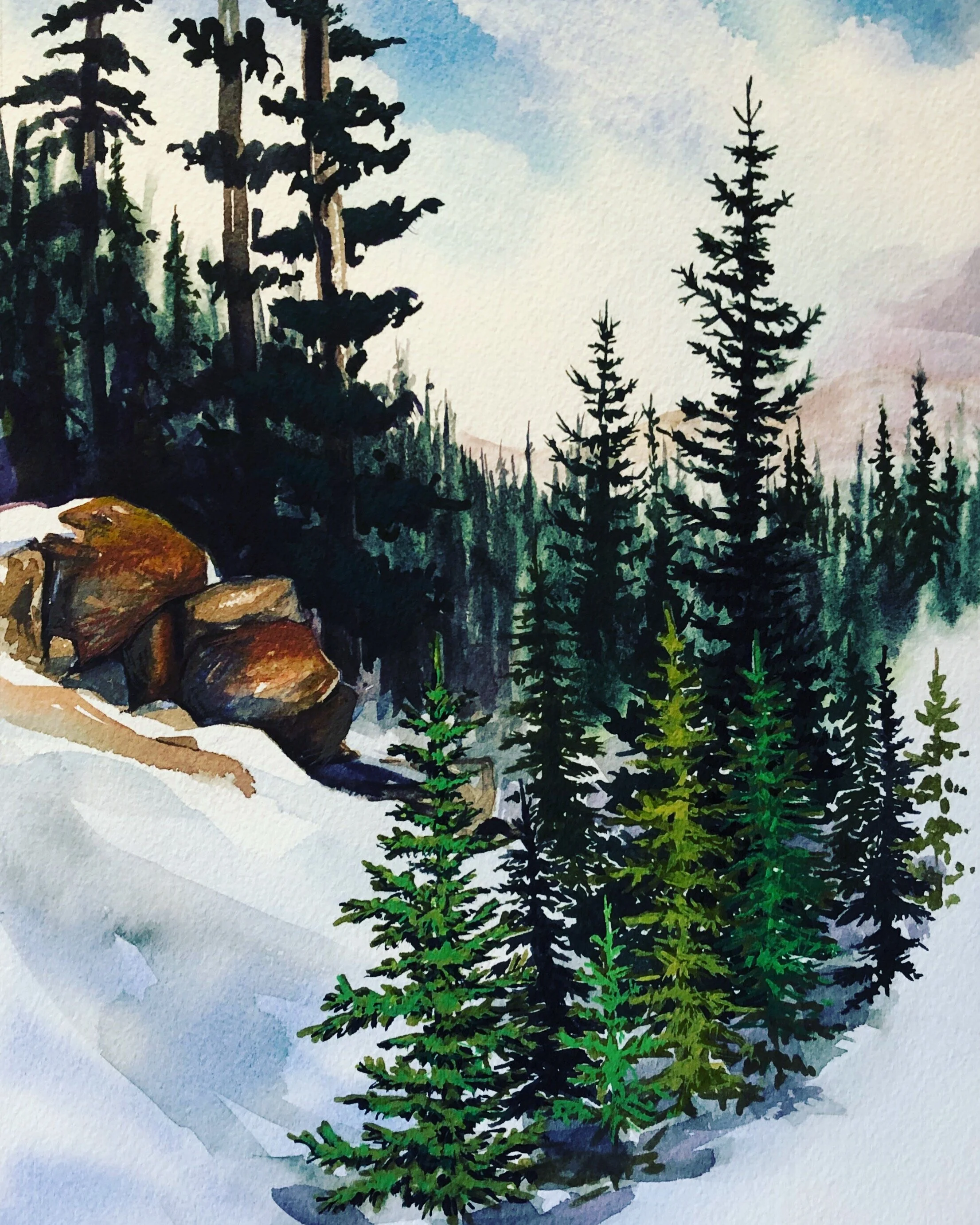 Near Mount Evans in Spring