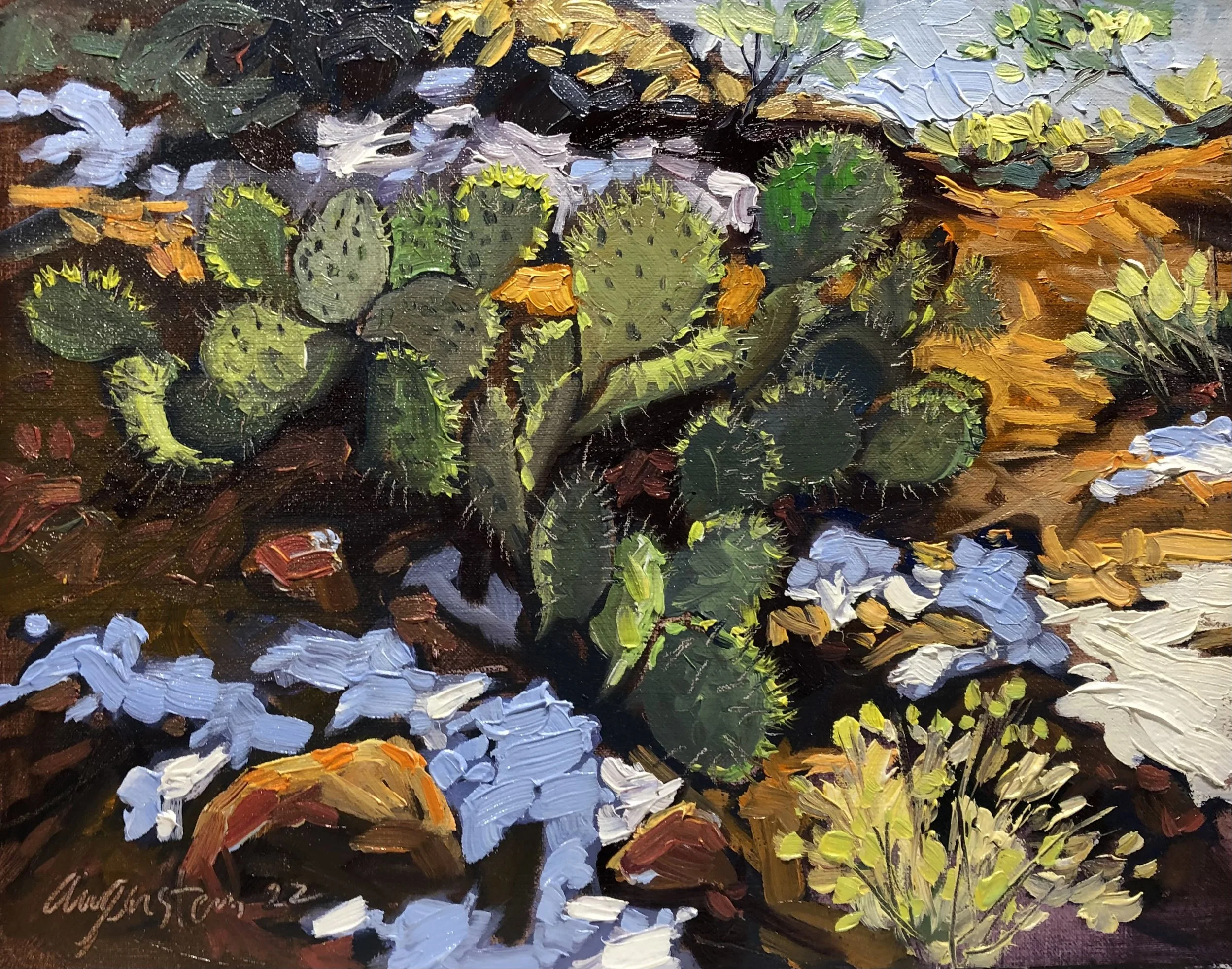 Prickly Pear on Bell Rock Trail