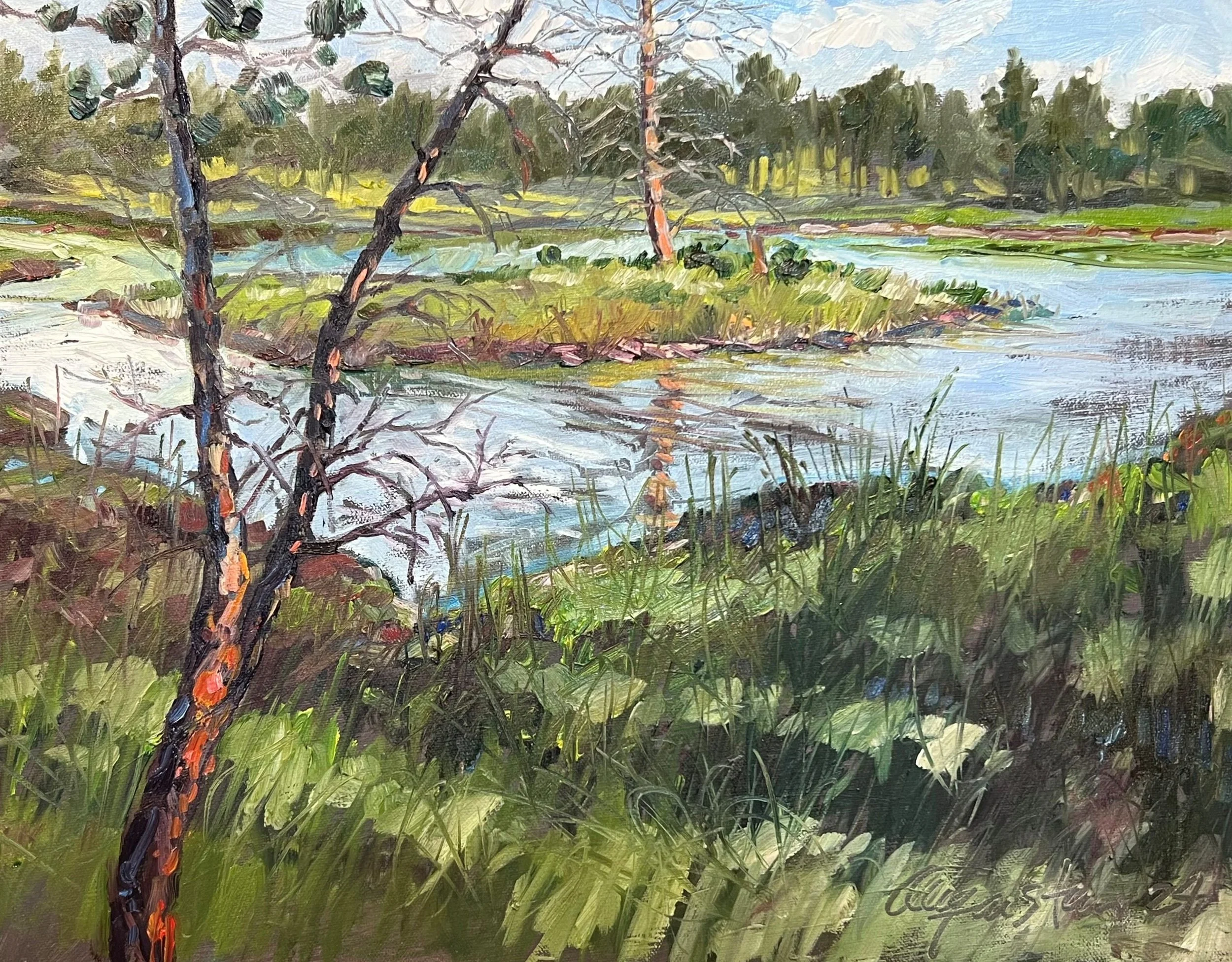 Pine Isle Pond