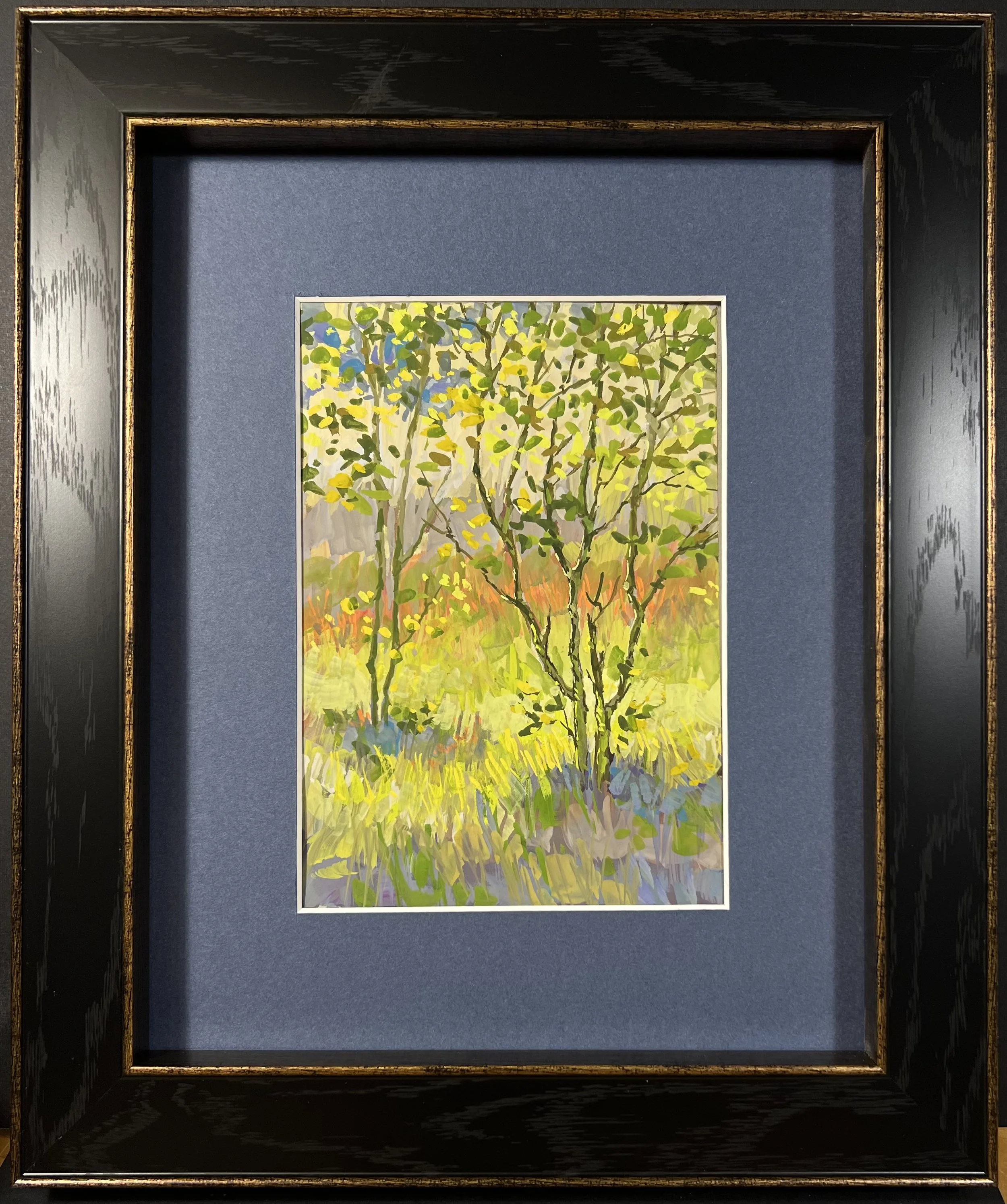 Backlit Aspen (Plein Air)