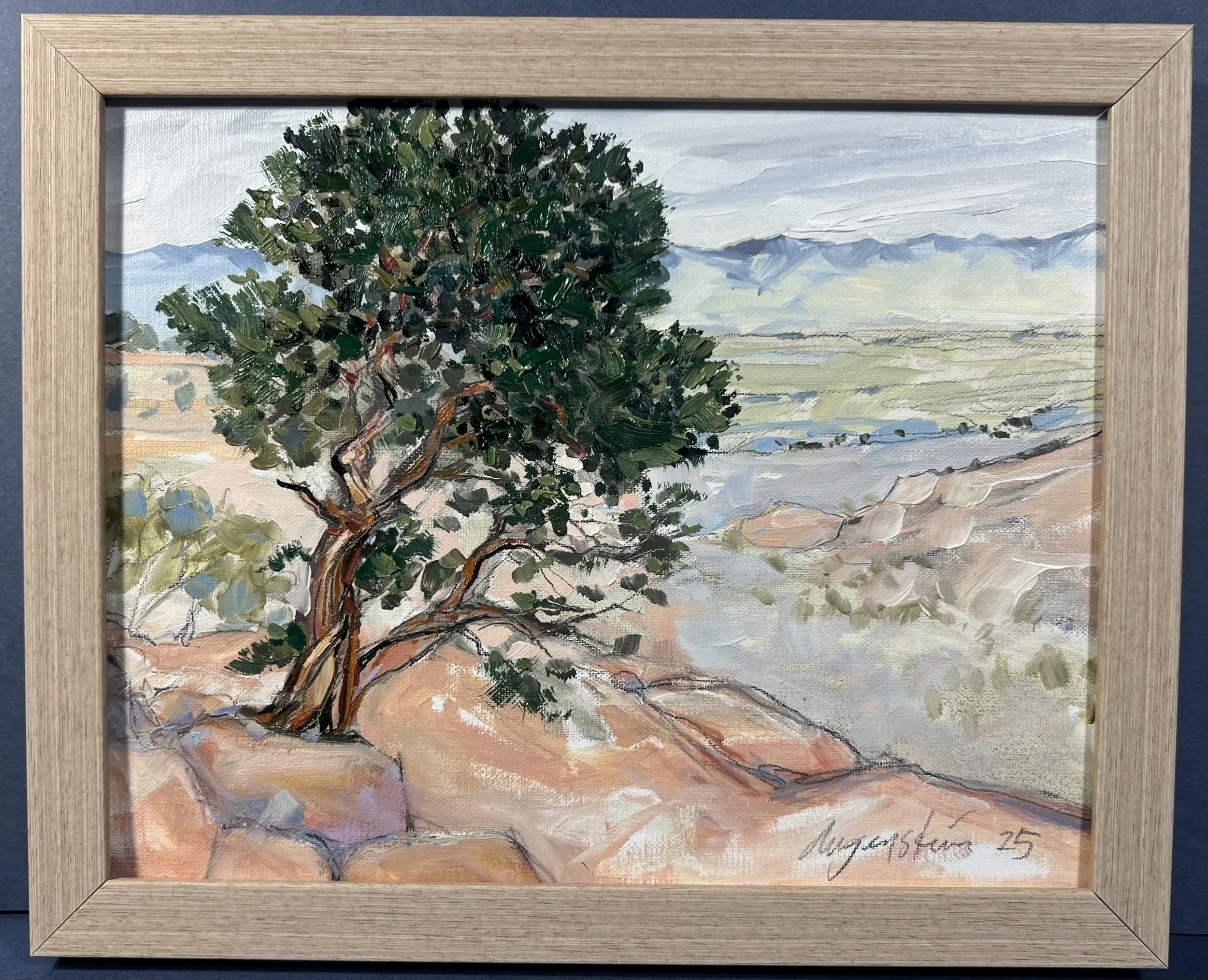 Juniper Overlooking the Valley (Plein Air)