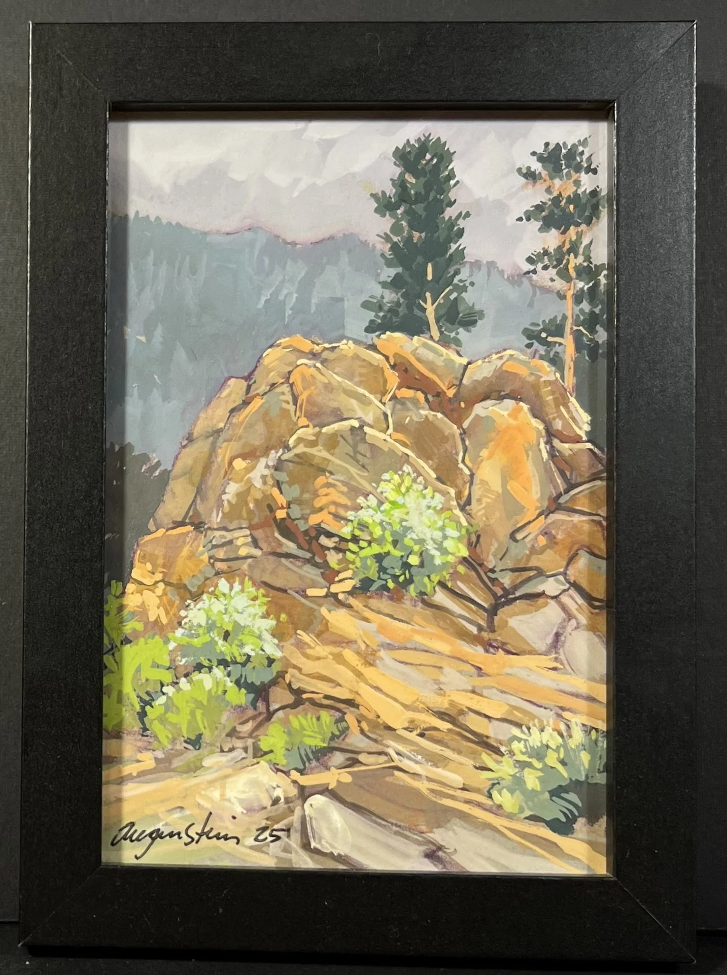 Rock Outcropping Near Morraine Park (Plein Air)