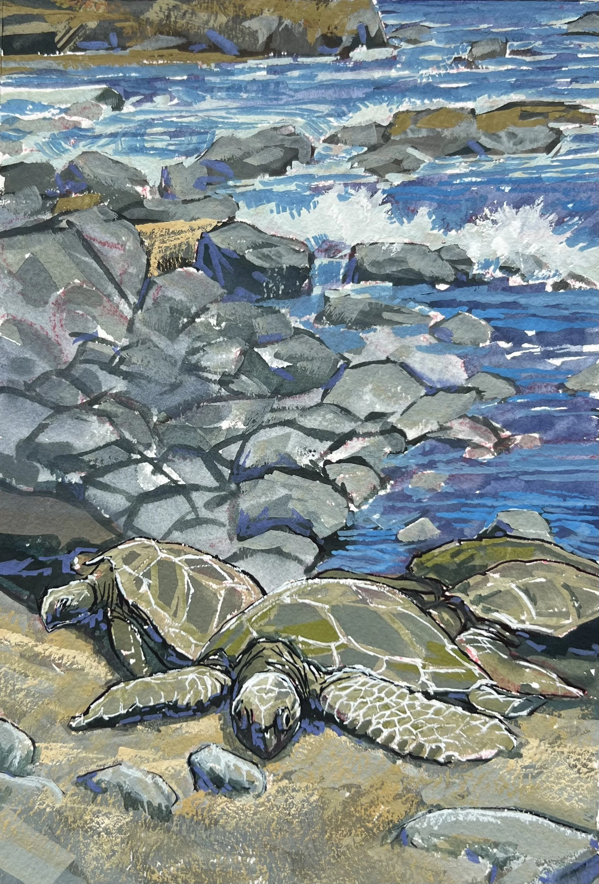 DAugenstein_GreenTurtlesontheBlackSandBeach-Hawaii_gouache_8x5.5.jpeg