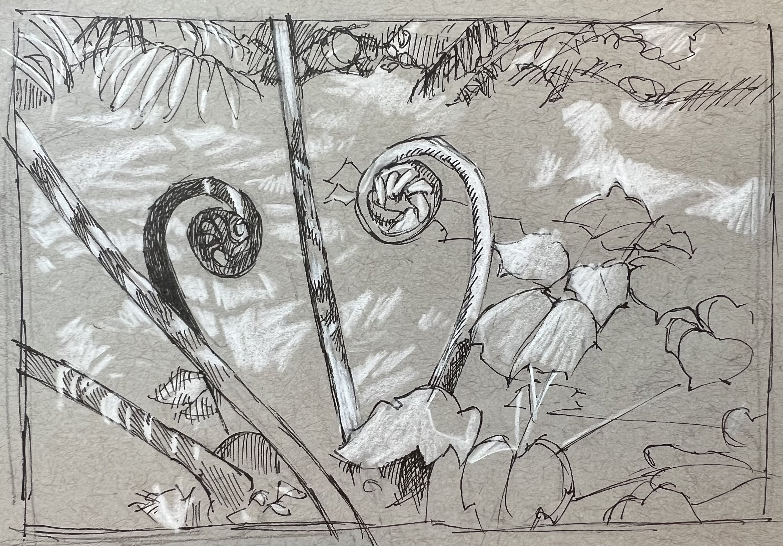 DAugenstein_TreenFernMakesaHeart_Ink_4x5.jpeg