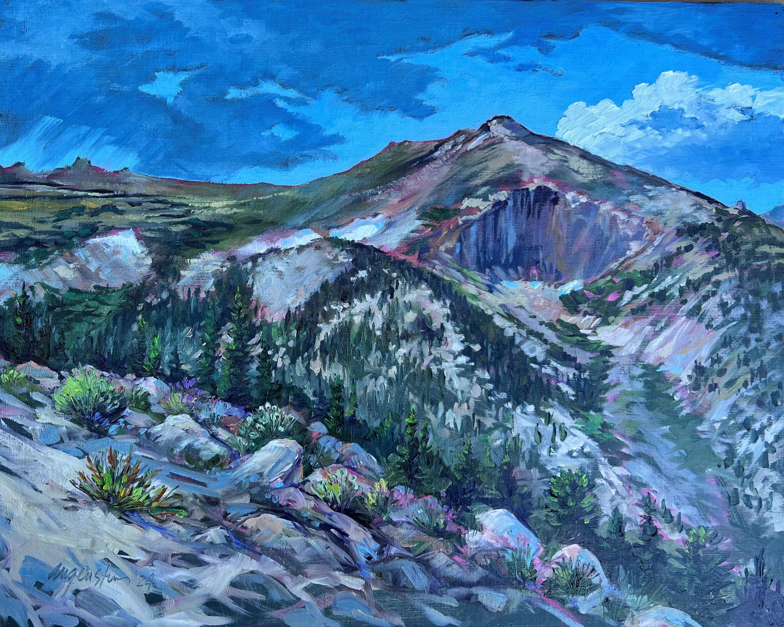 Augenstein_ViewfromTrailRidgeRoad_Oil_16x20_2024.jpg