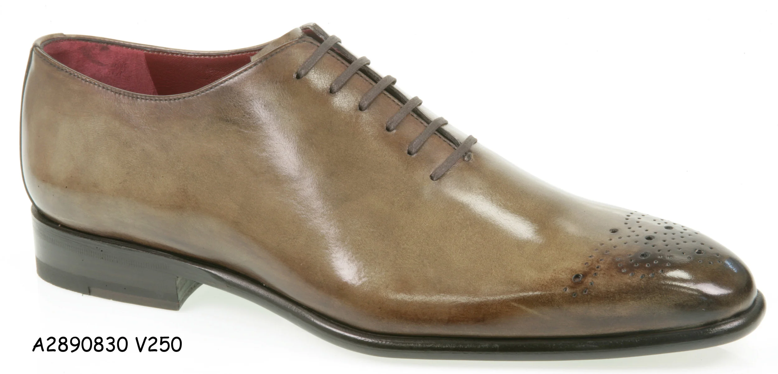 A2890830-V250