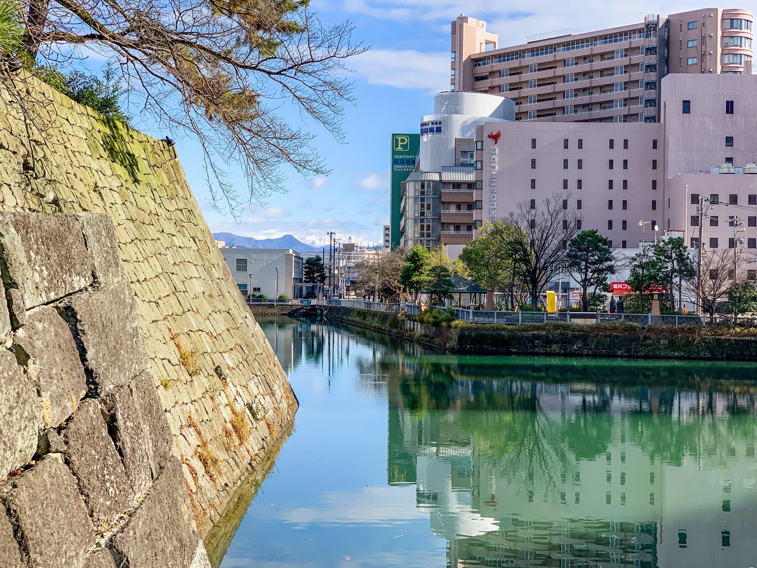 Japan 2019 2020 IMG_0166.JPG