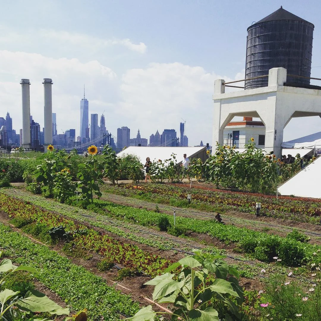 Right Place, Right Time