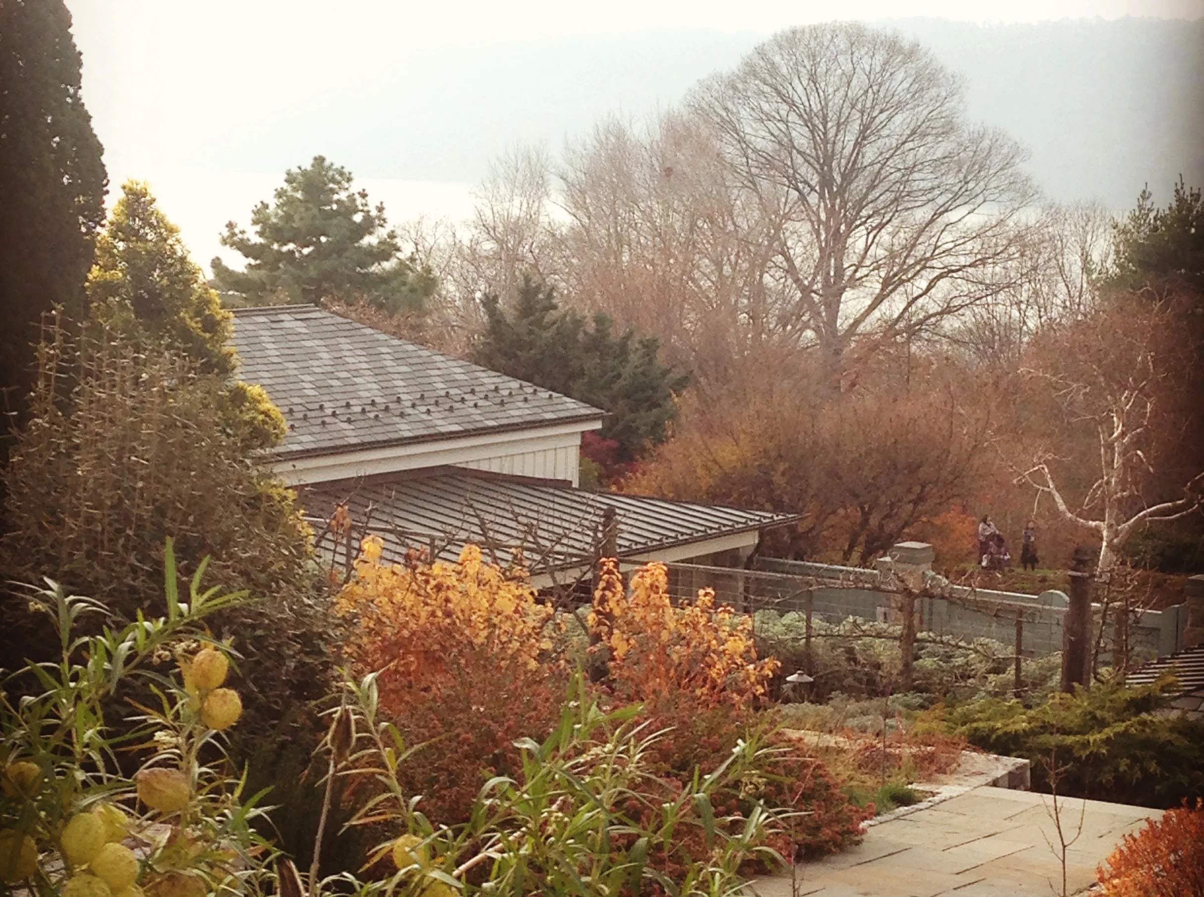 “One must maintain a little bit of summer, even in the middle of winter.”  – Henry David Thoreau