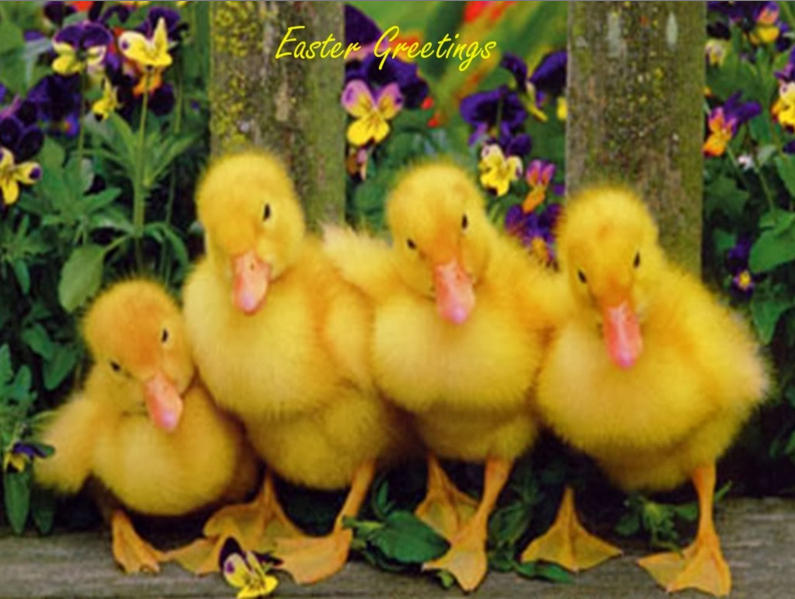 Happy Easter & First Week of Spring!