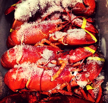 August: Treats & Eats in NYC