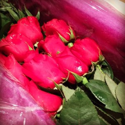 Roses.png