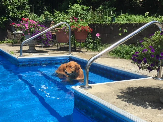 devivre_concierge_services_new_york_city_pool.jpg